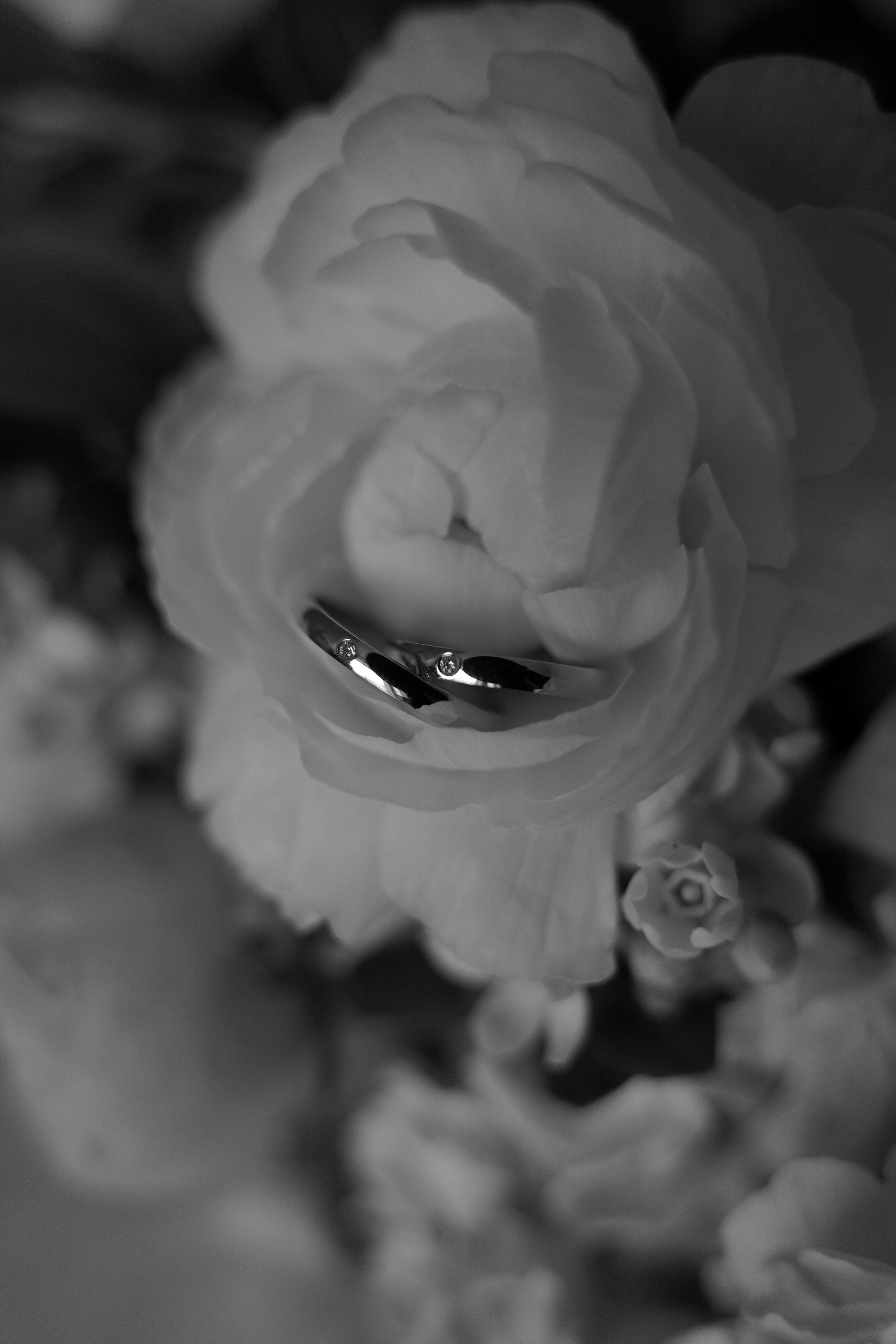 Дарья и Евгений. Свадебный фотограф Марина Попова