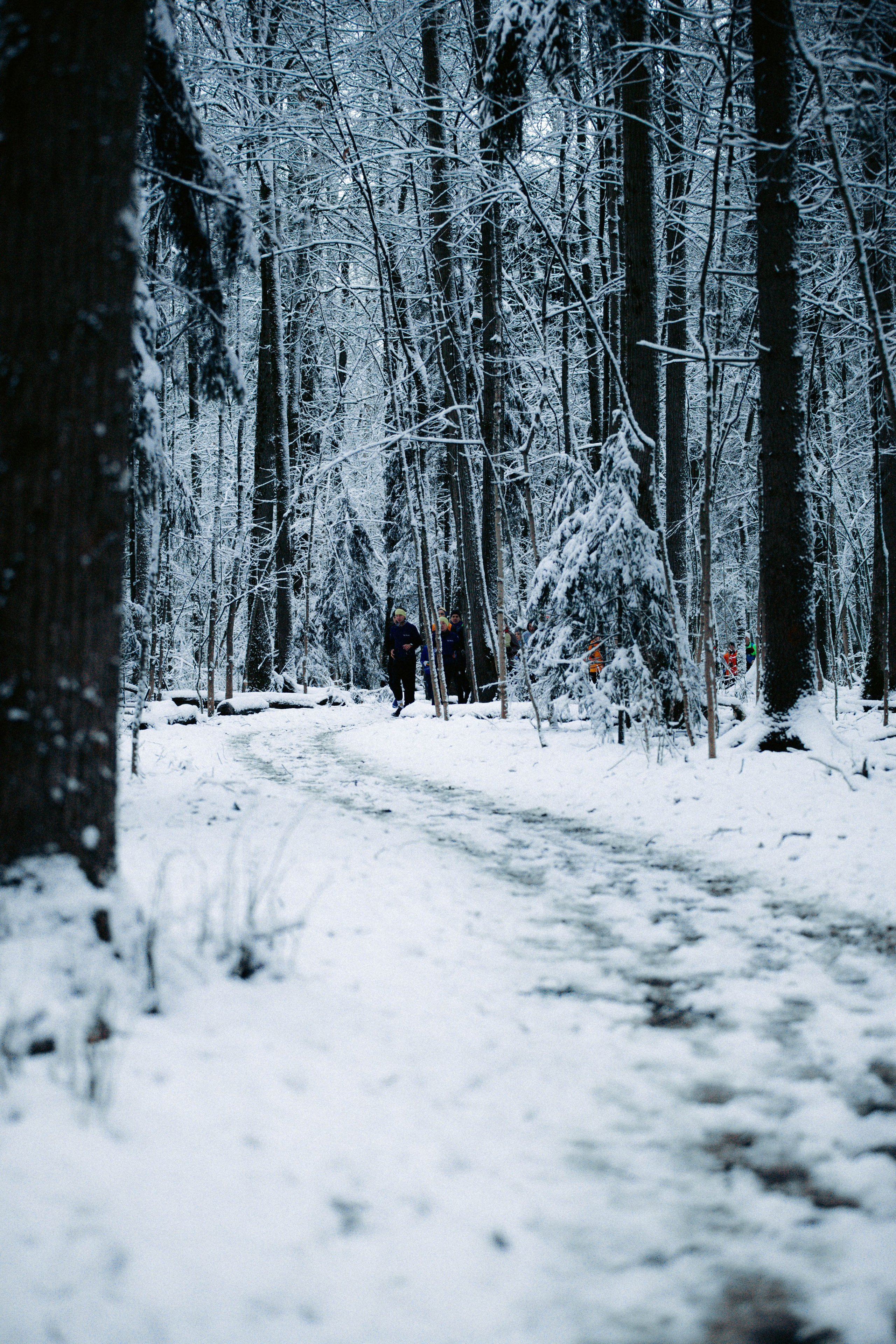 Марафон у дома_Бунино. Александра Мельниченко/ Бегающий фотограф