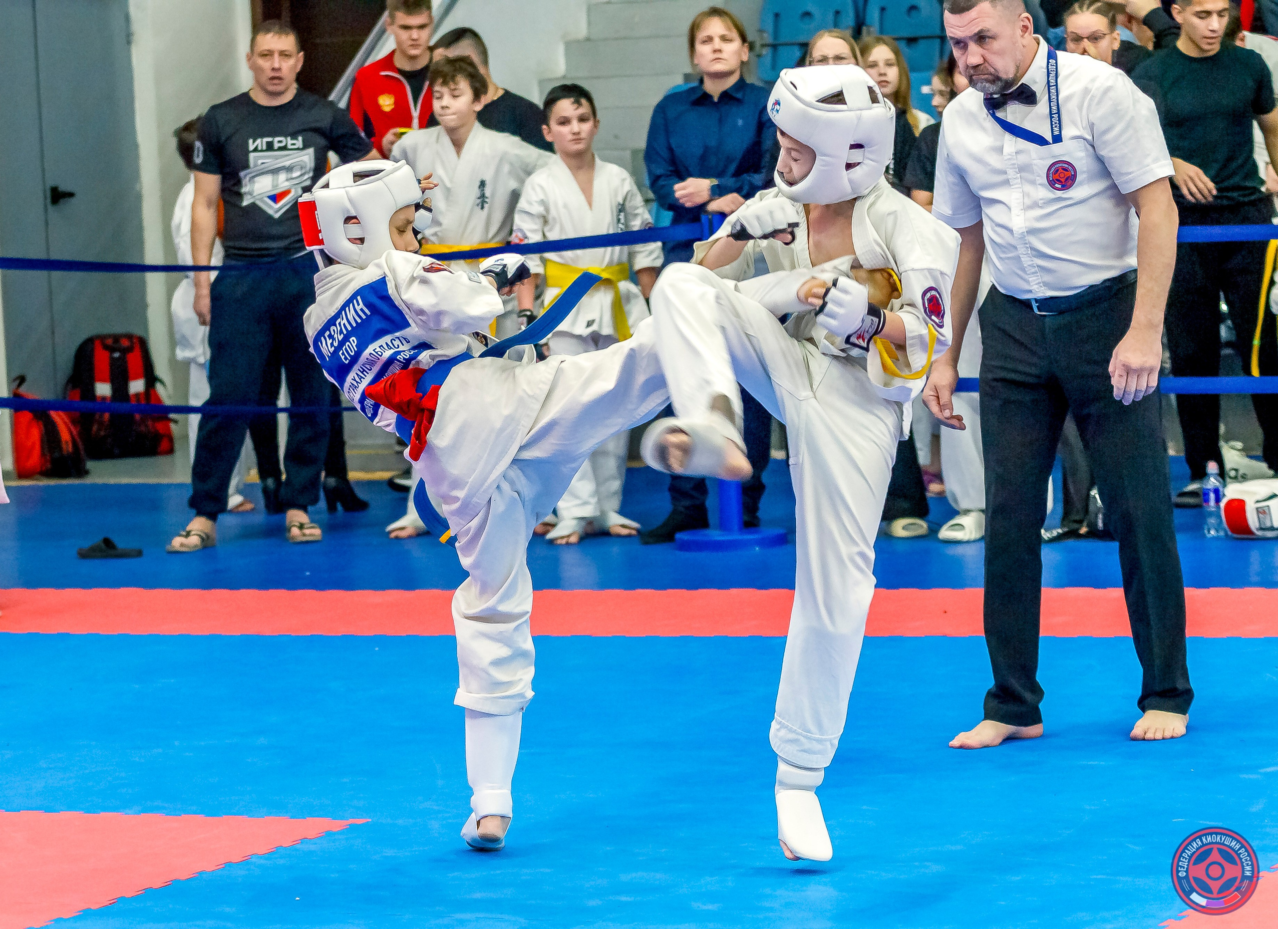 Международный турнир по киокушин «Открытый кубок Seiken». Репортажная съемка в Москве и области. Анималистика