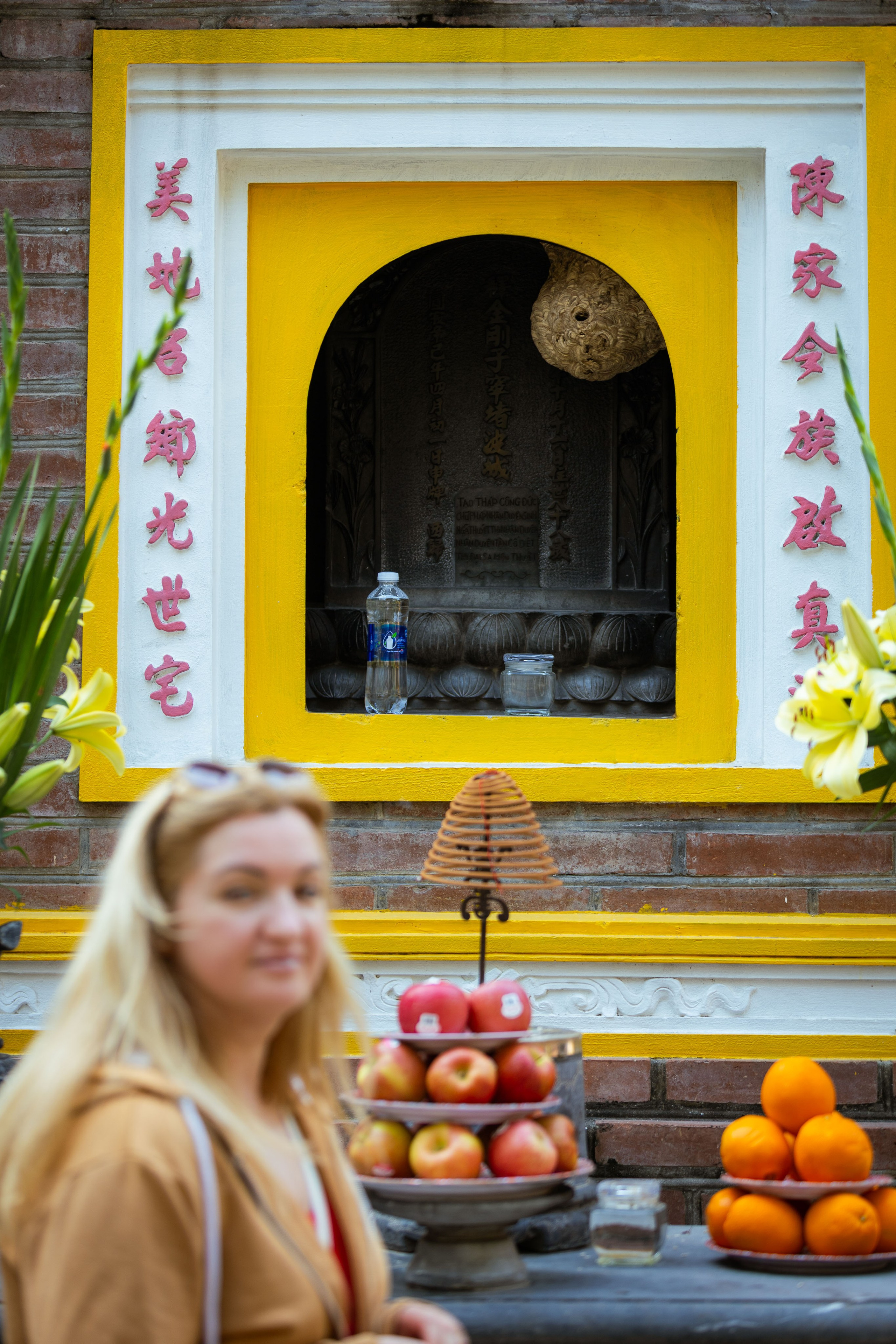 Вьетнам (зима 2025-2026). Фотограф Виноградов Константин