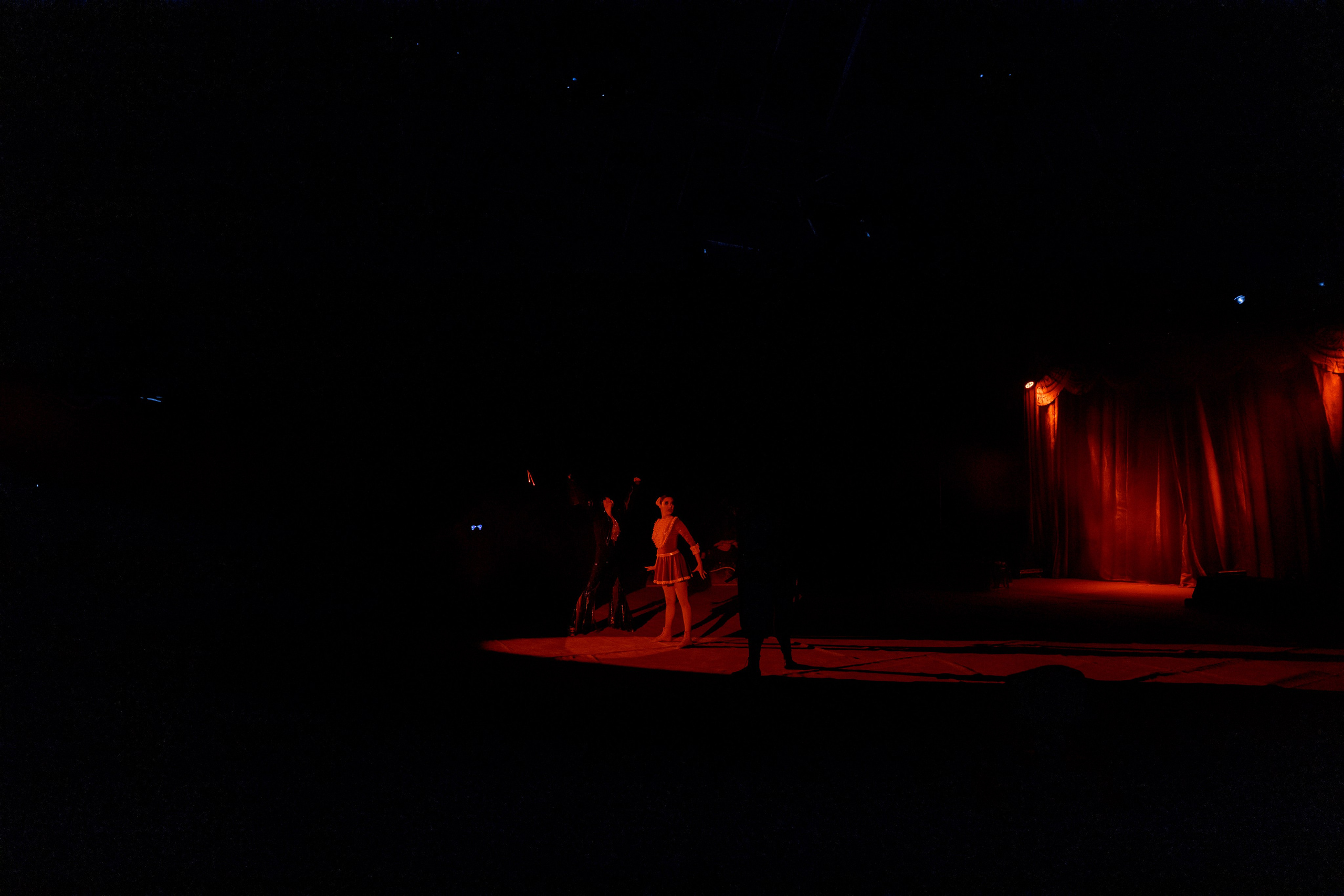 Цирк Moretti в Иркутске. Свадебный фотограф Иркутск, репортажный фотограф Иркутск