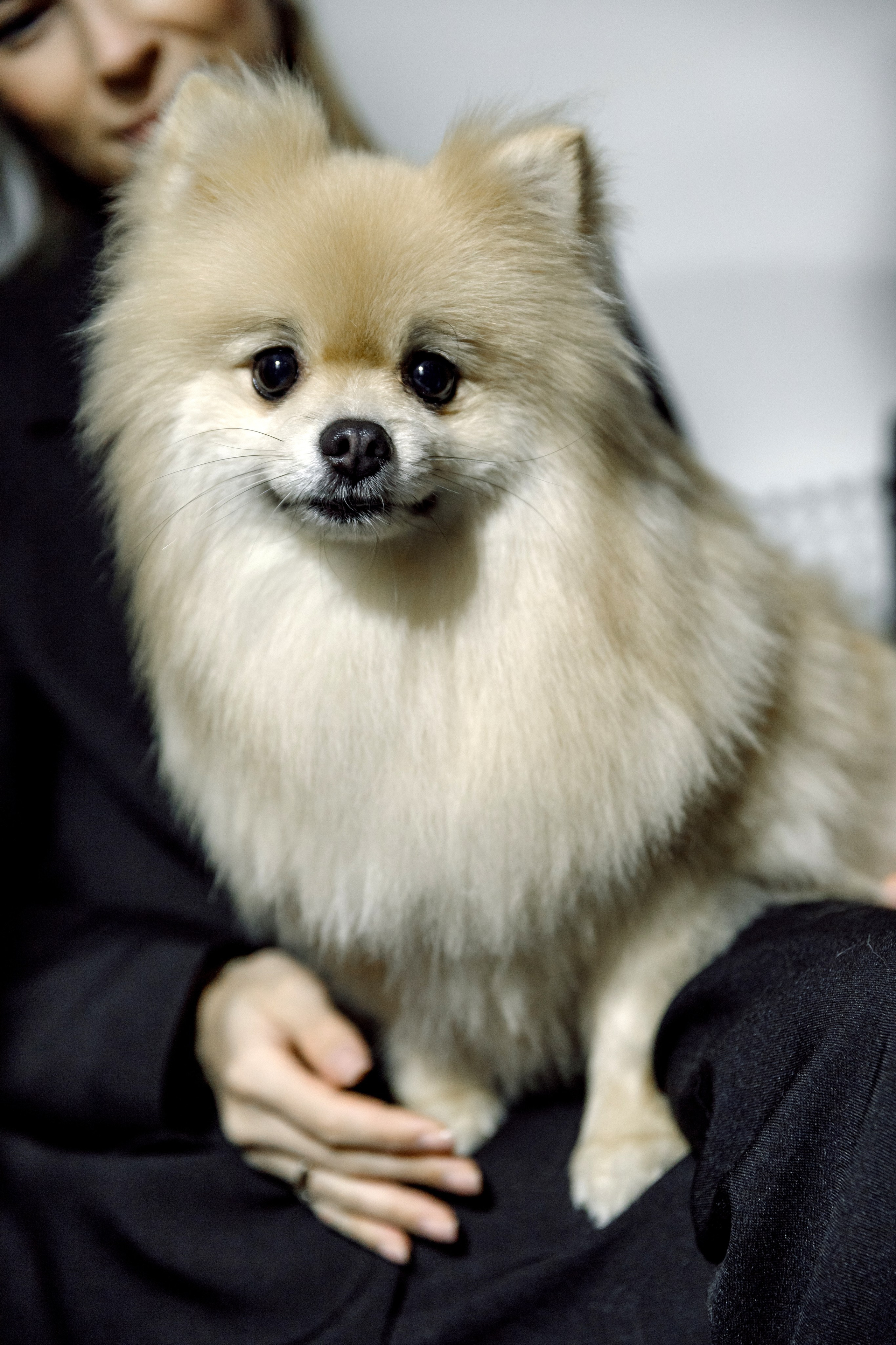 O&J Fashion Fest осень'25. Свадебный фотограф Иркутск, репортажный фотограф Иркутск