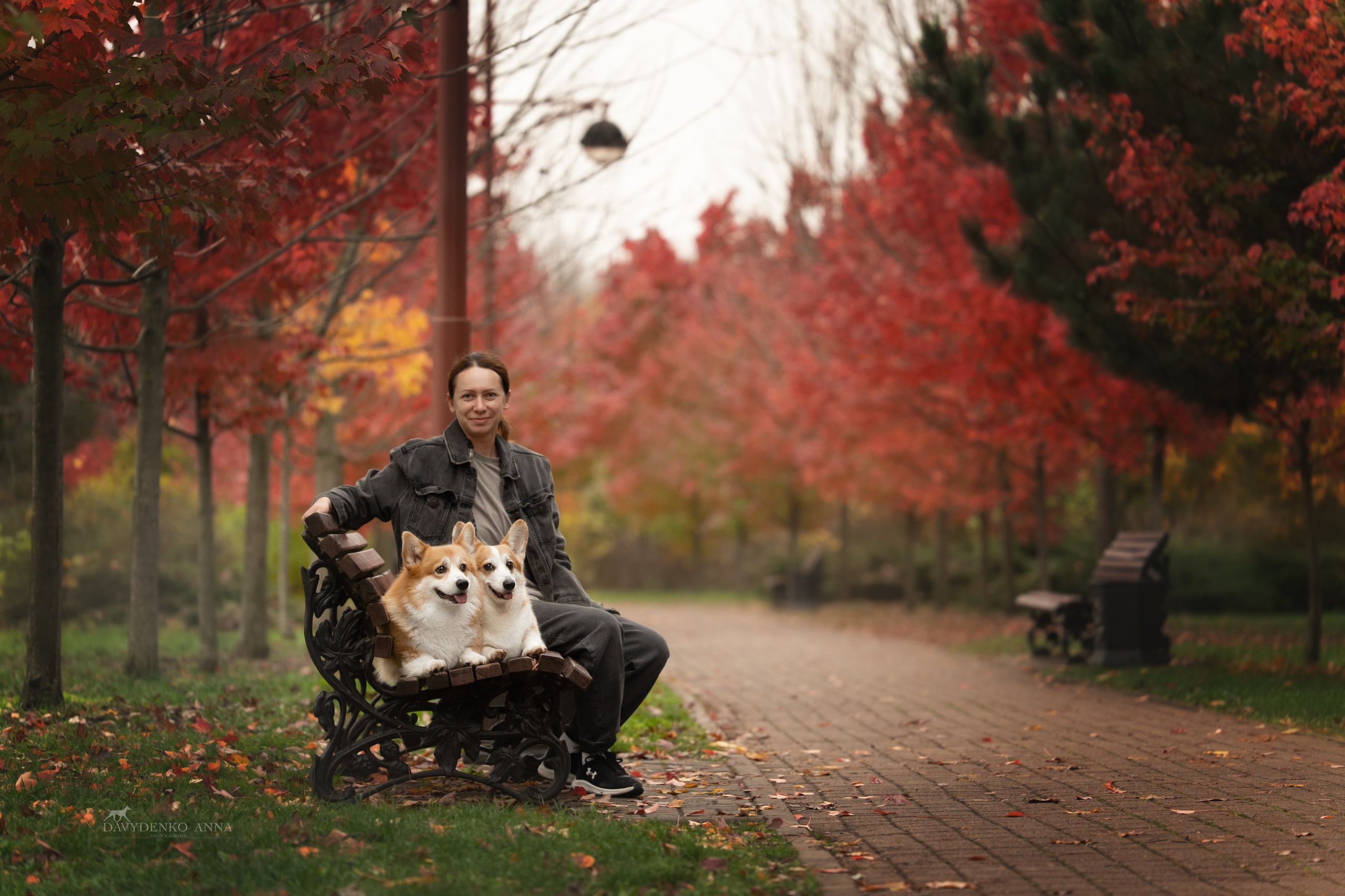 фотосессия с собаками 