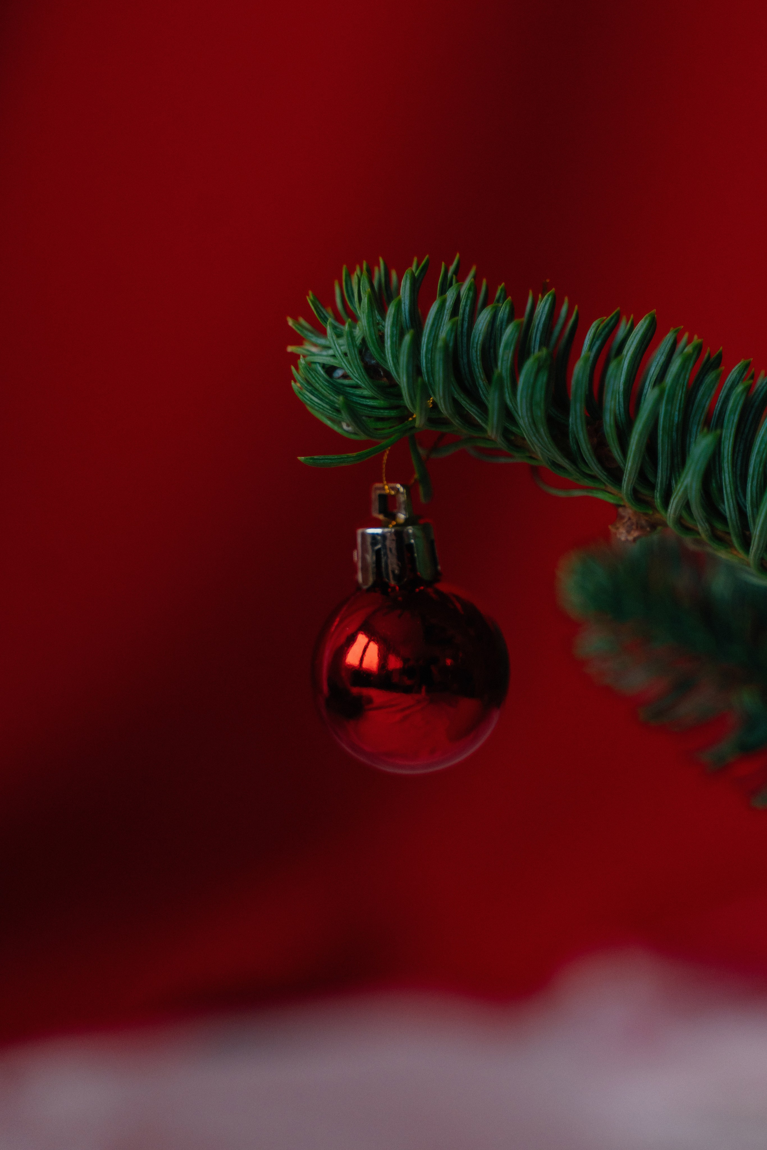 Все сбудется- загадывай. FotoTanya. Раменское/Жуковский/Бронницы