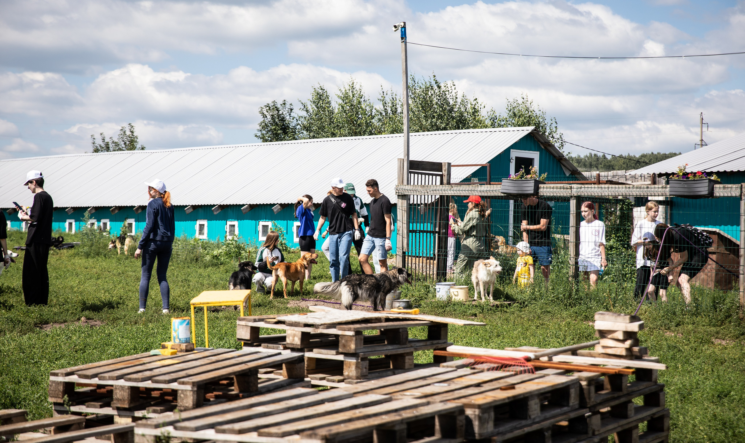 Приют — Наш дом. Репортажный и свадебный фотограф в Челябинске Елисеев Павел
