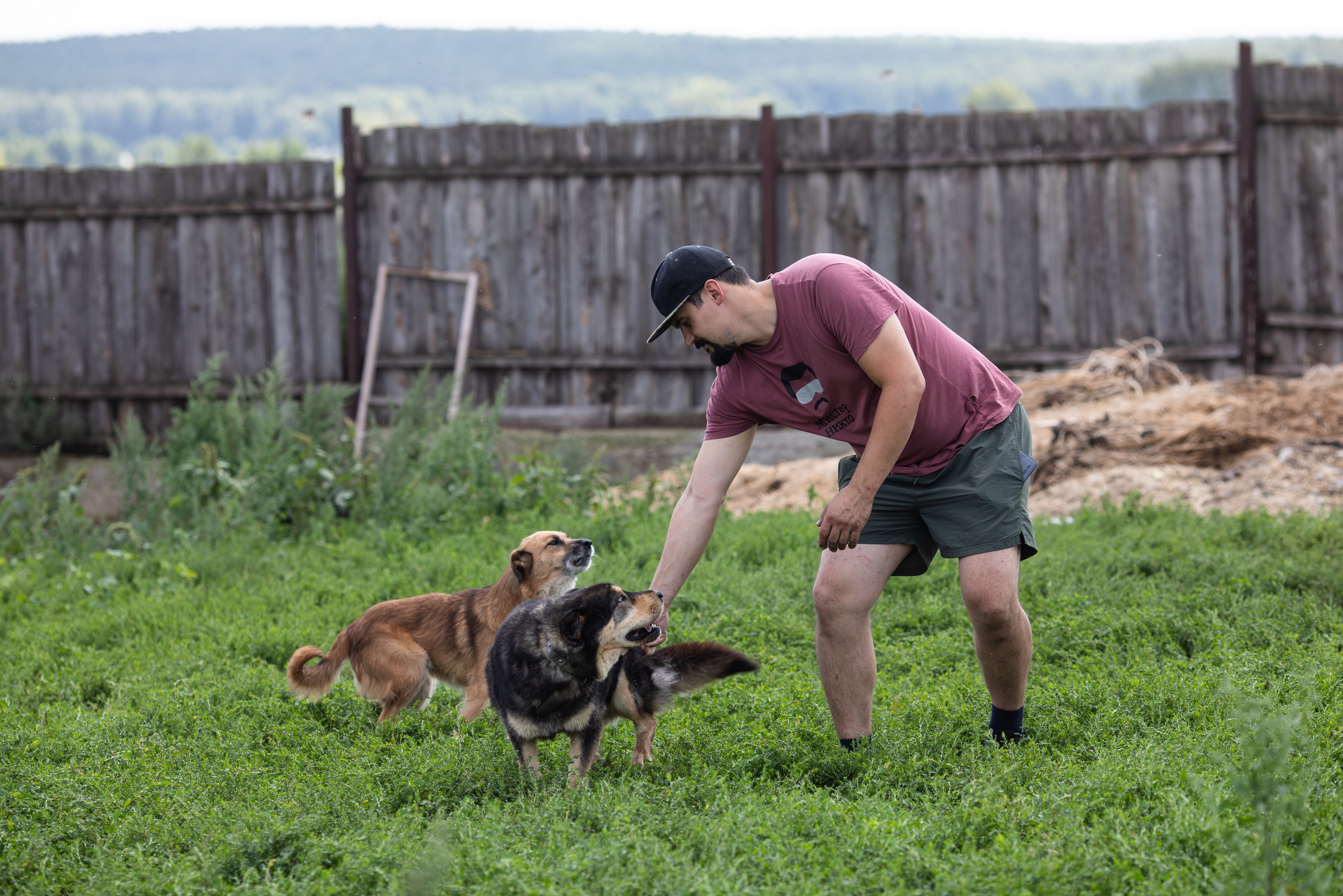 Приют — Наш дом. Репортажный и свадебный фотограф в Челябинске Елисеев Павел
