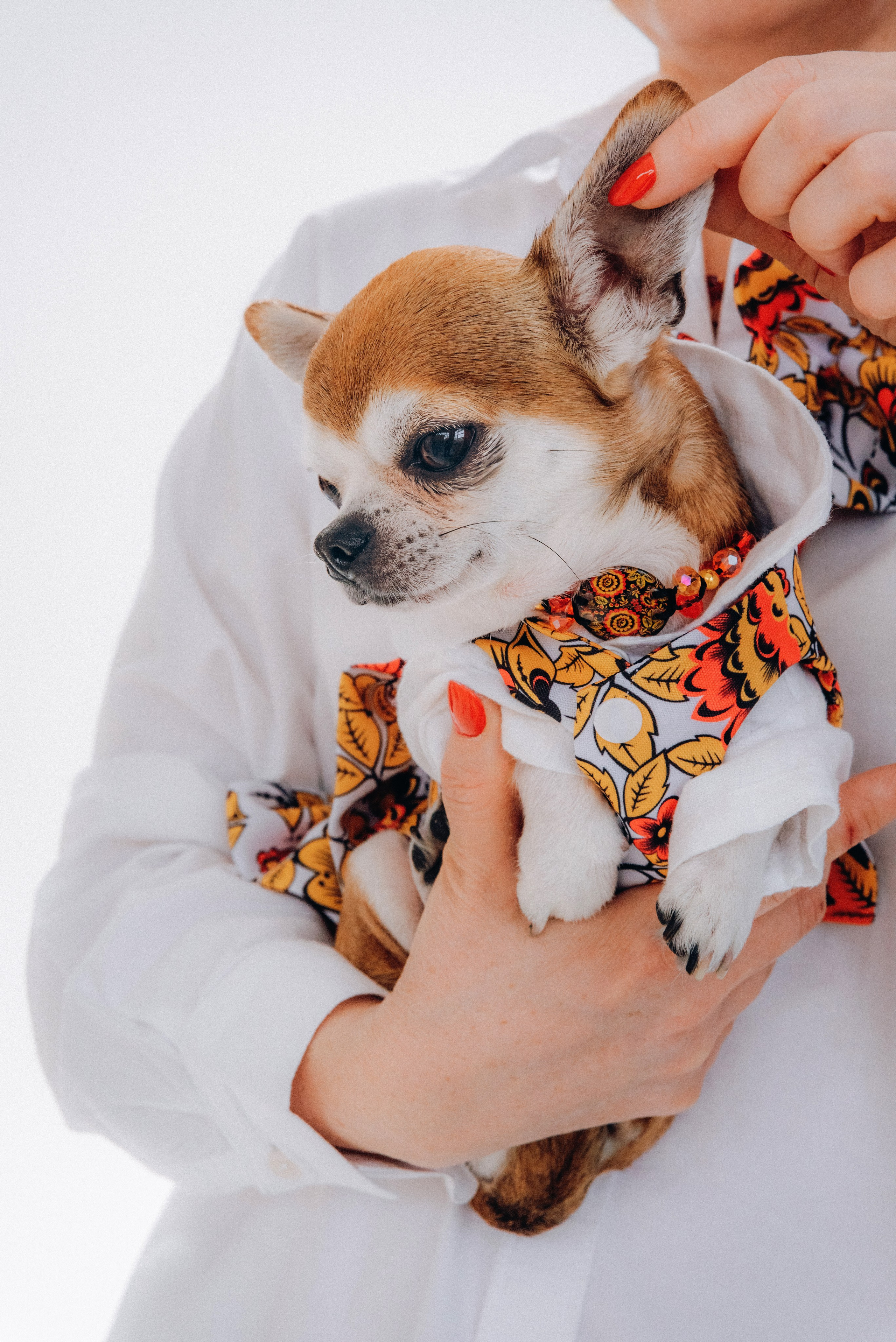 Лена для дома моды. Ольга Козлова фотограф Волгоград olkiny-fotki.ru