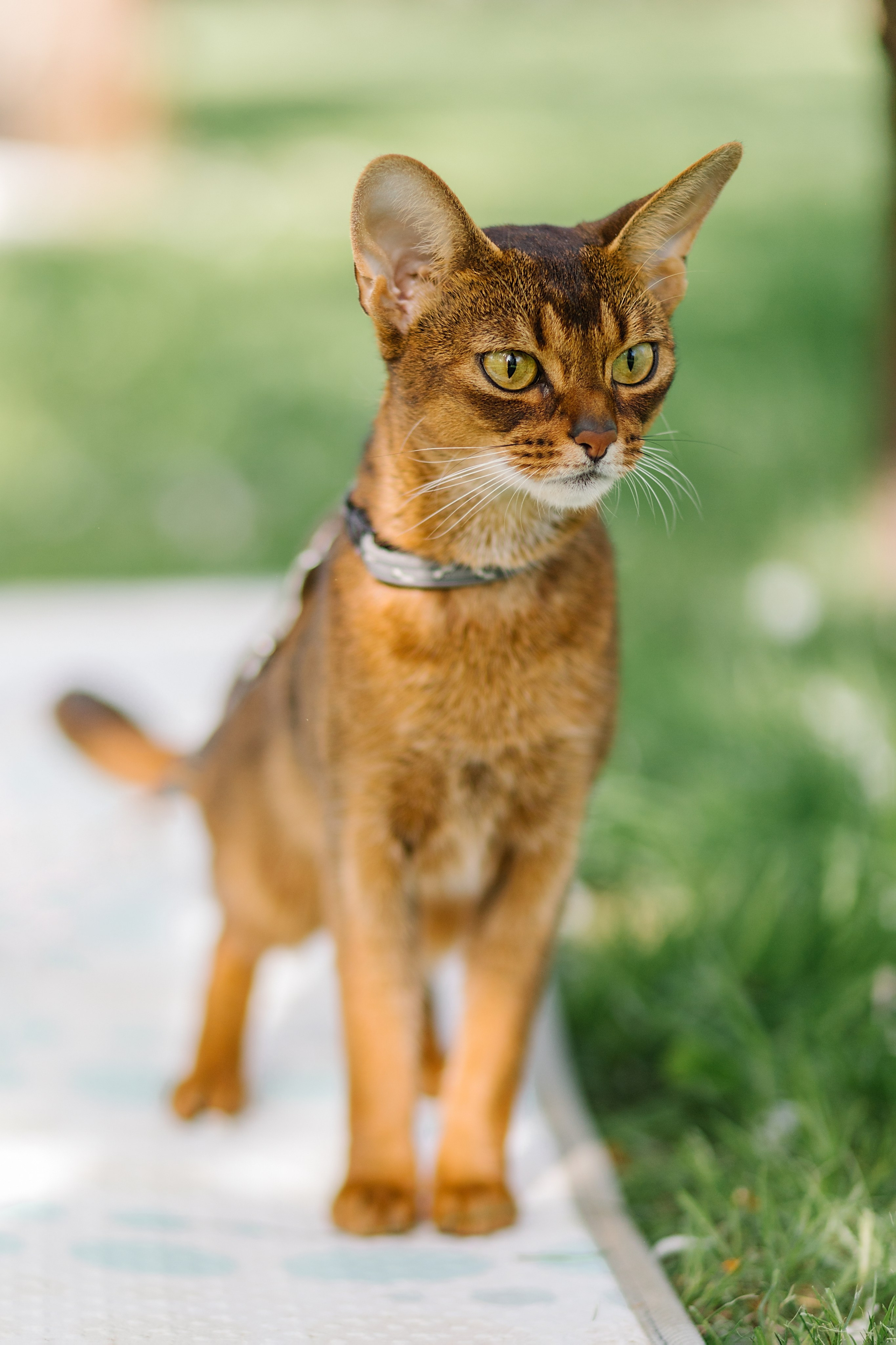 Life. Лена Крутова. Фотограф в Москве
