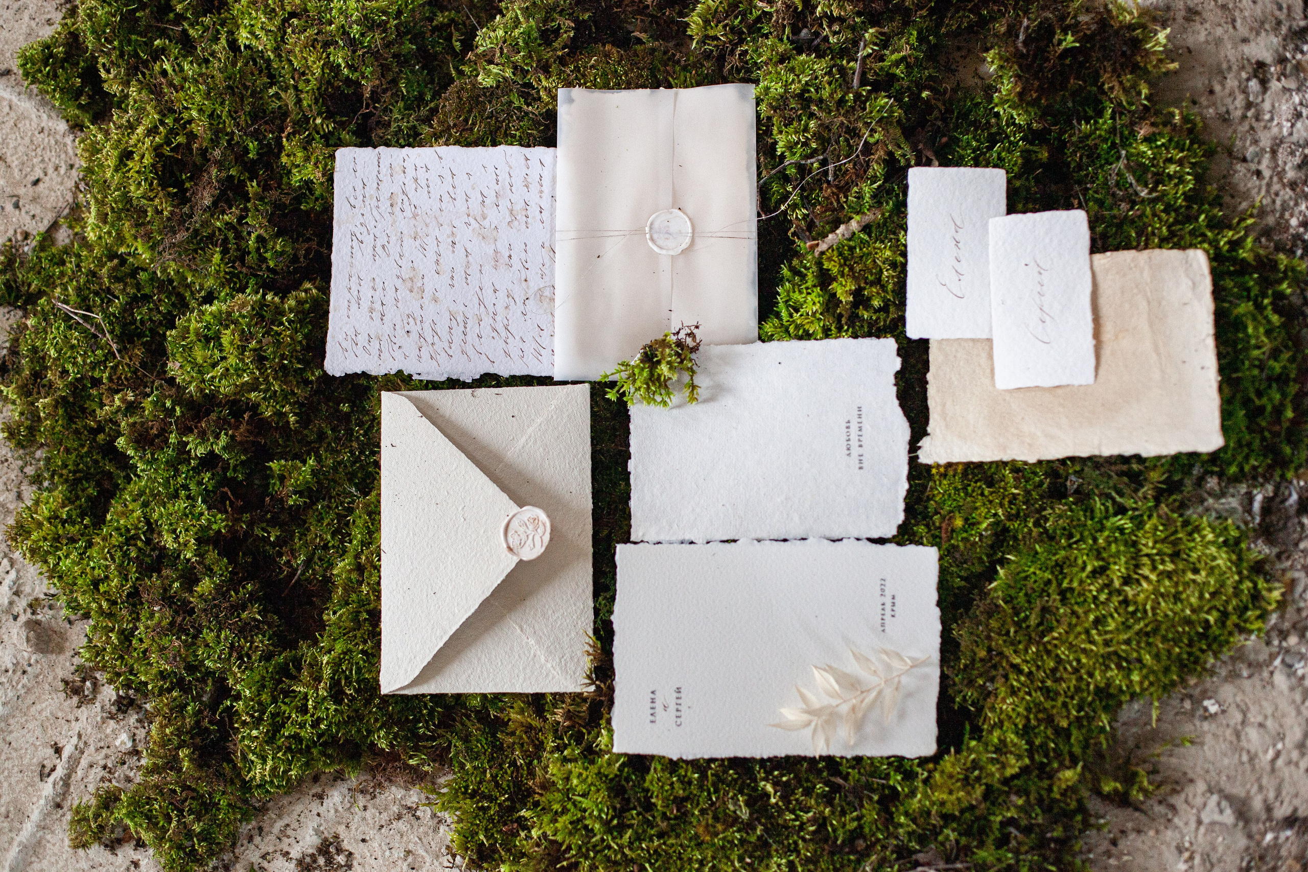 Свадебное. Фотограф Яна Романова