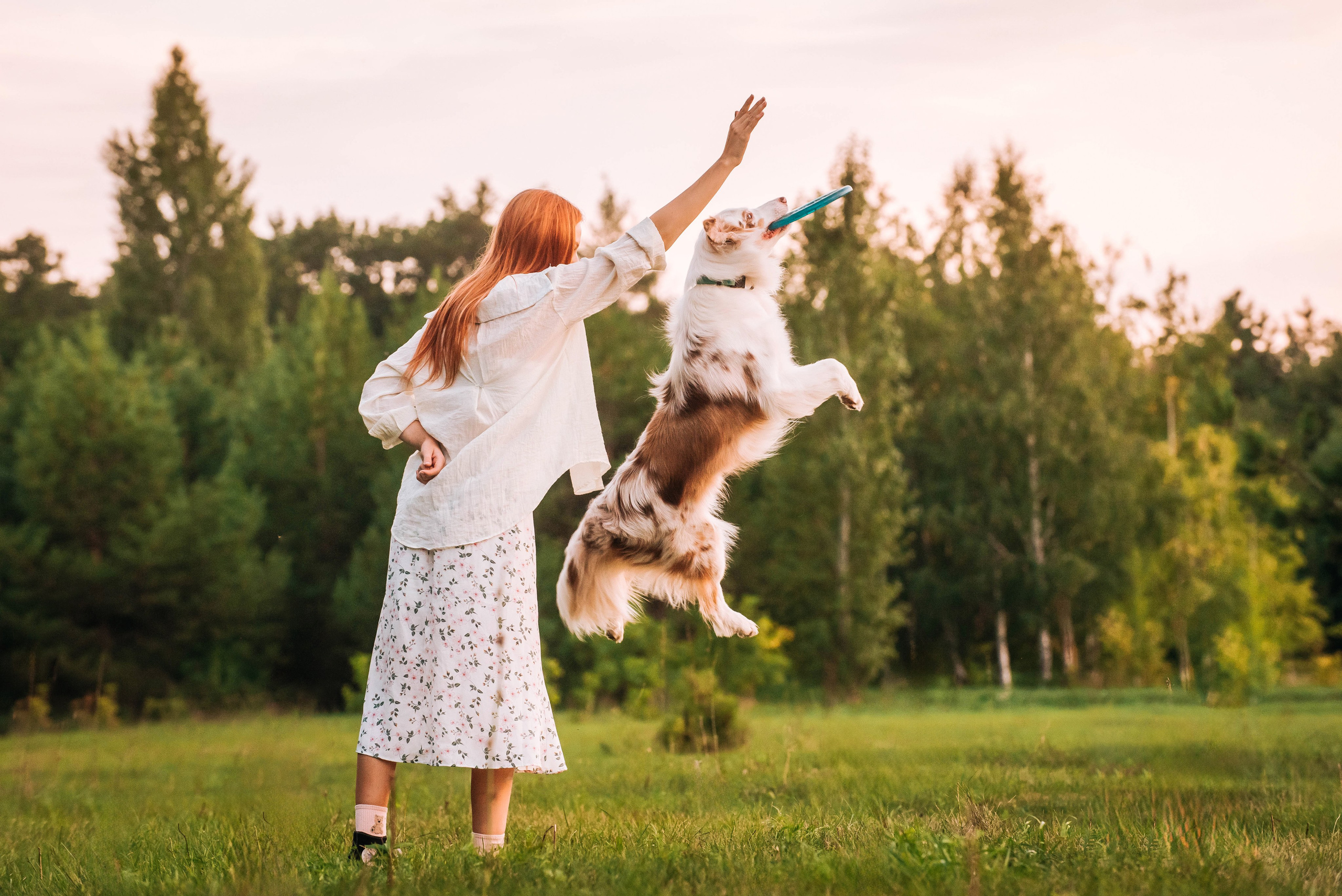 Лиза и Айви. Главная