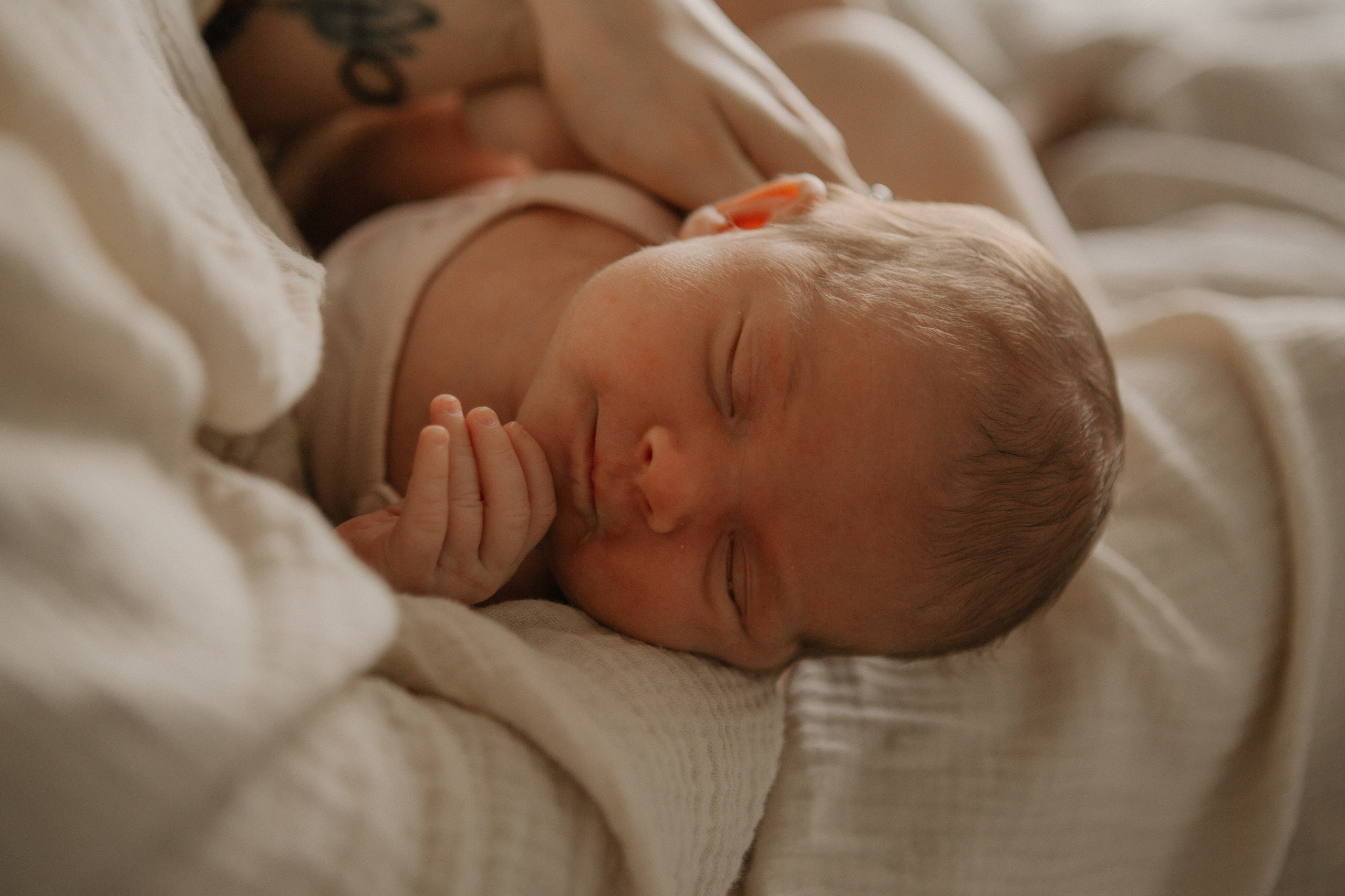 Kira + Katya & Igor. Portrait, family and pet photographer in Cyprus, Ksenia Bourdelle