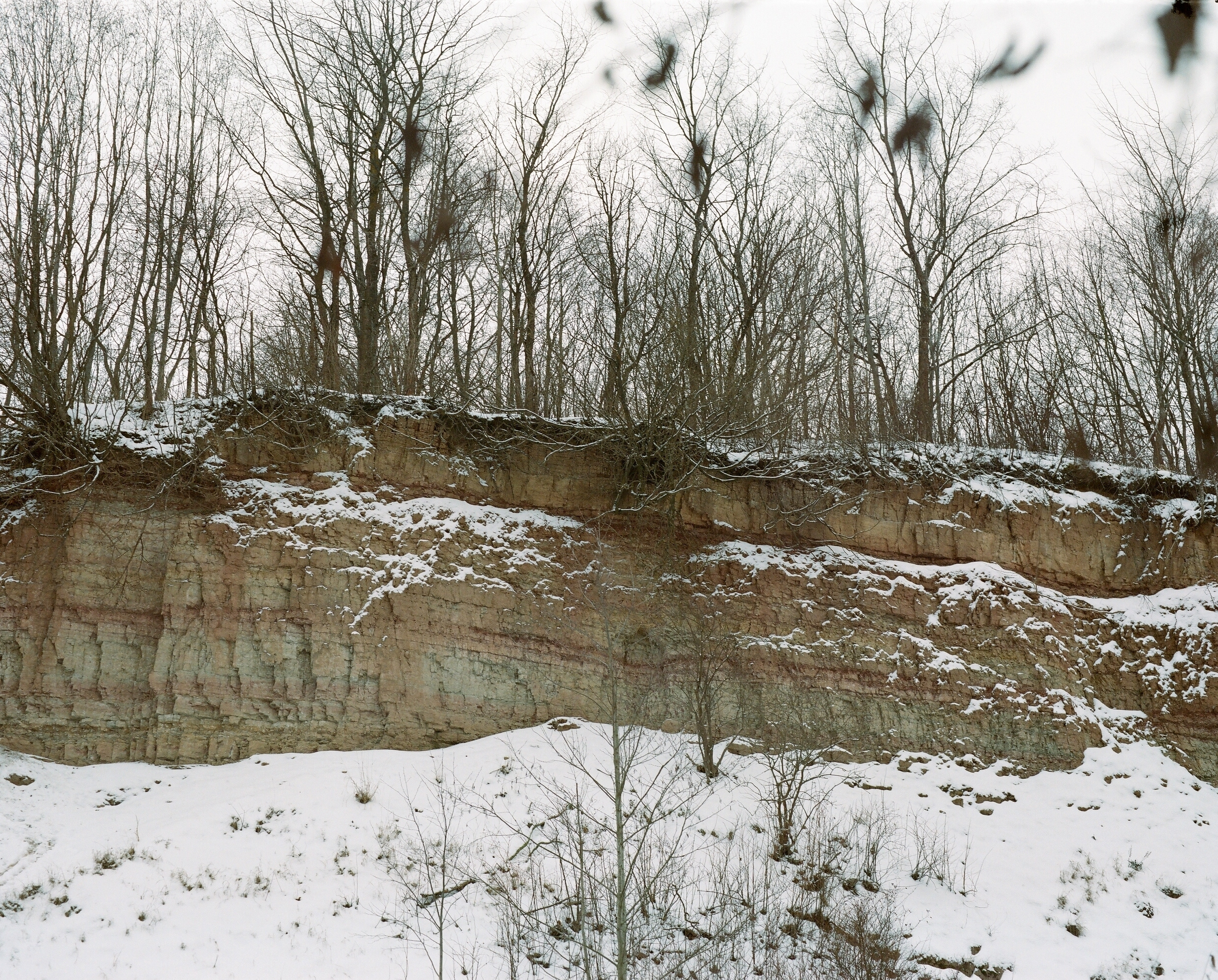 Дневник каньона. Екатерина Васильева художник, куратор и преподаватель