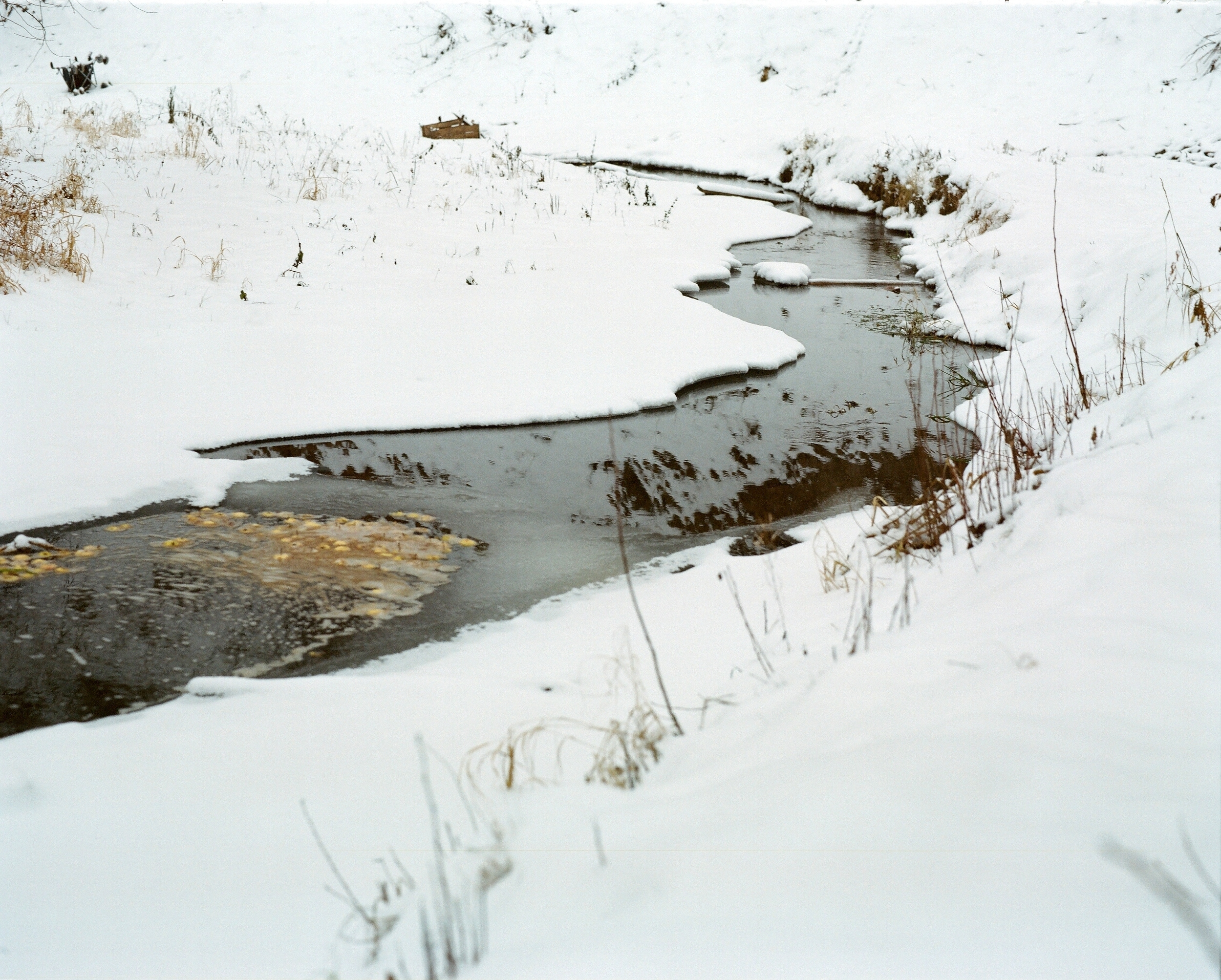 Дневник каньона. Екатерина Васильева художник, куратор и преподаватель