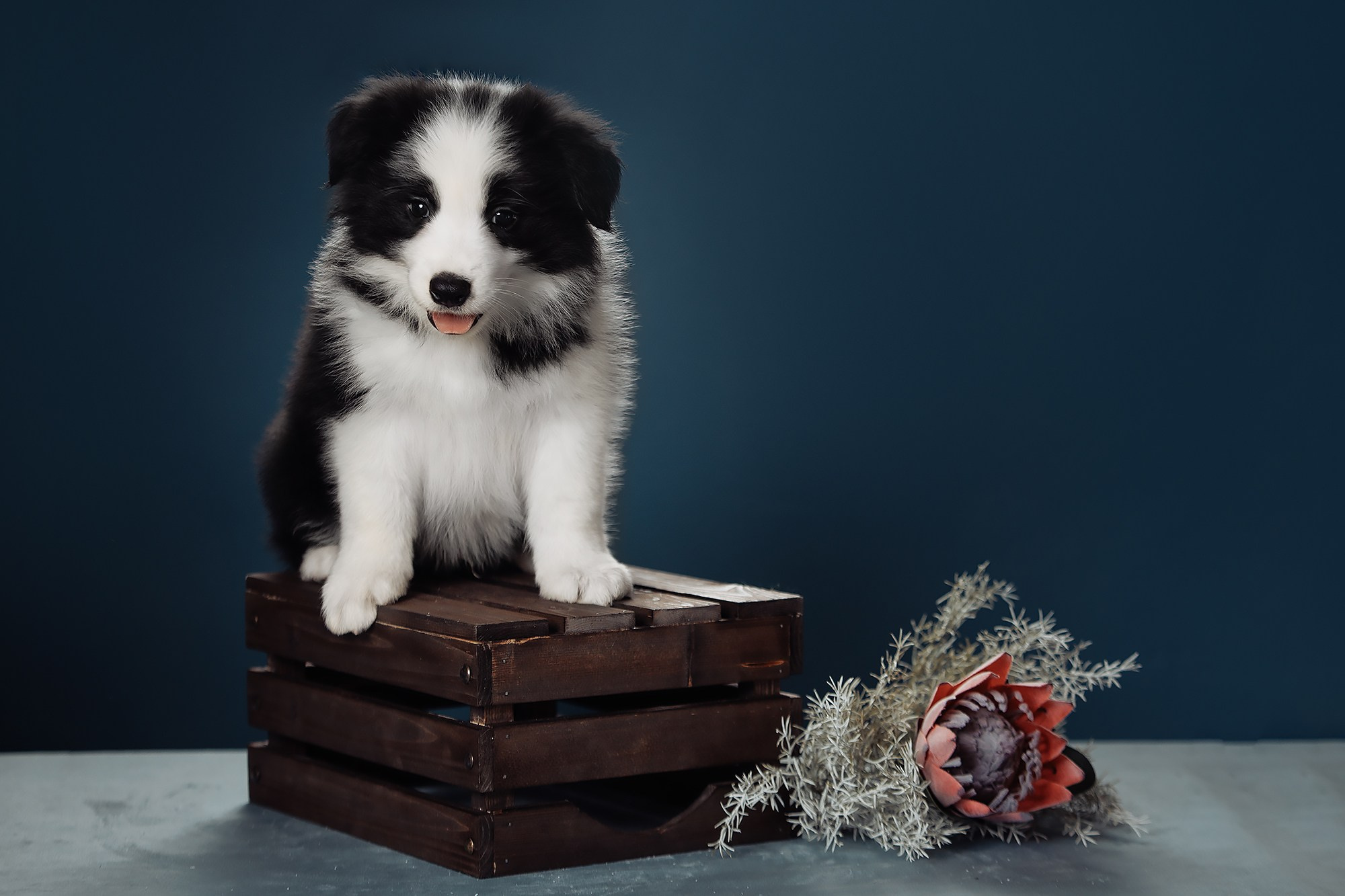 Синева. О нас