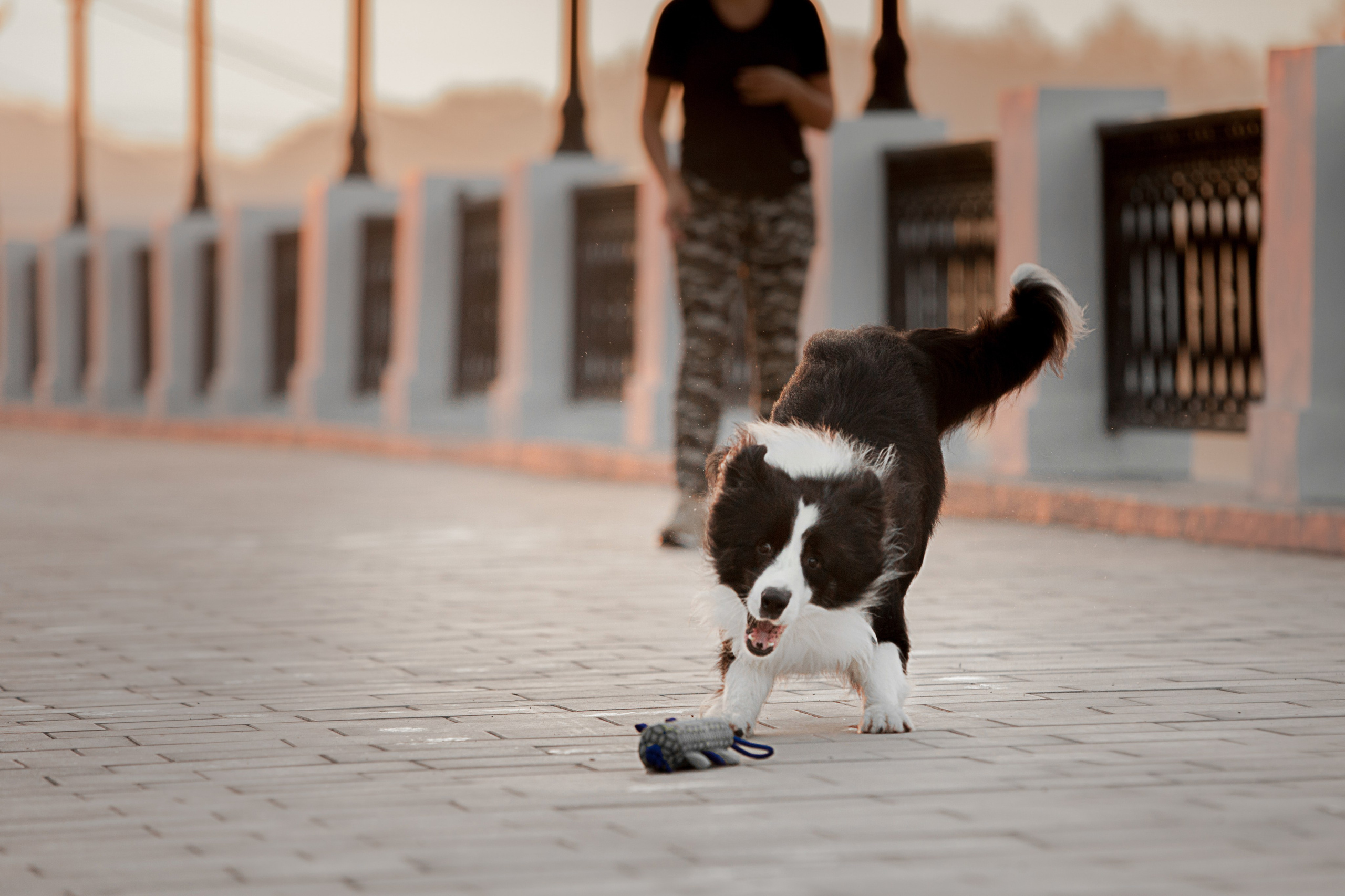 Сочный рассвет, на который решились. О нас