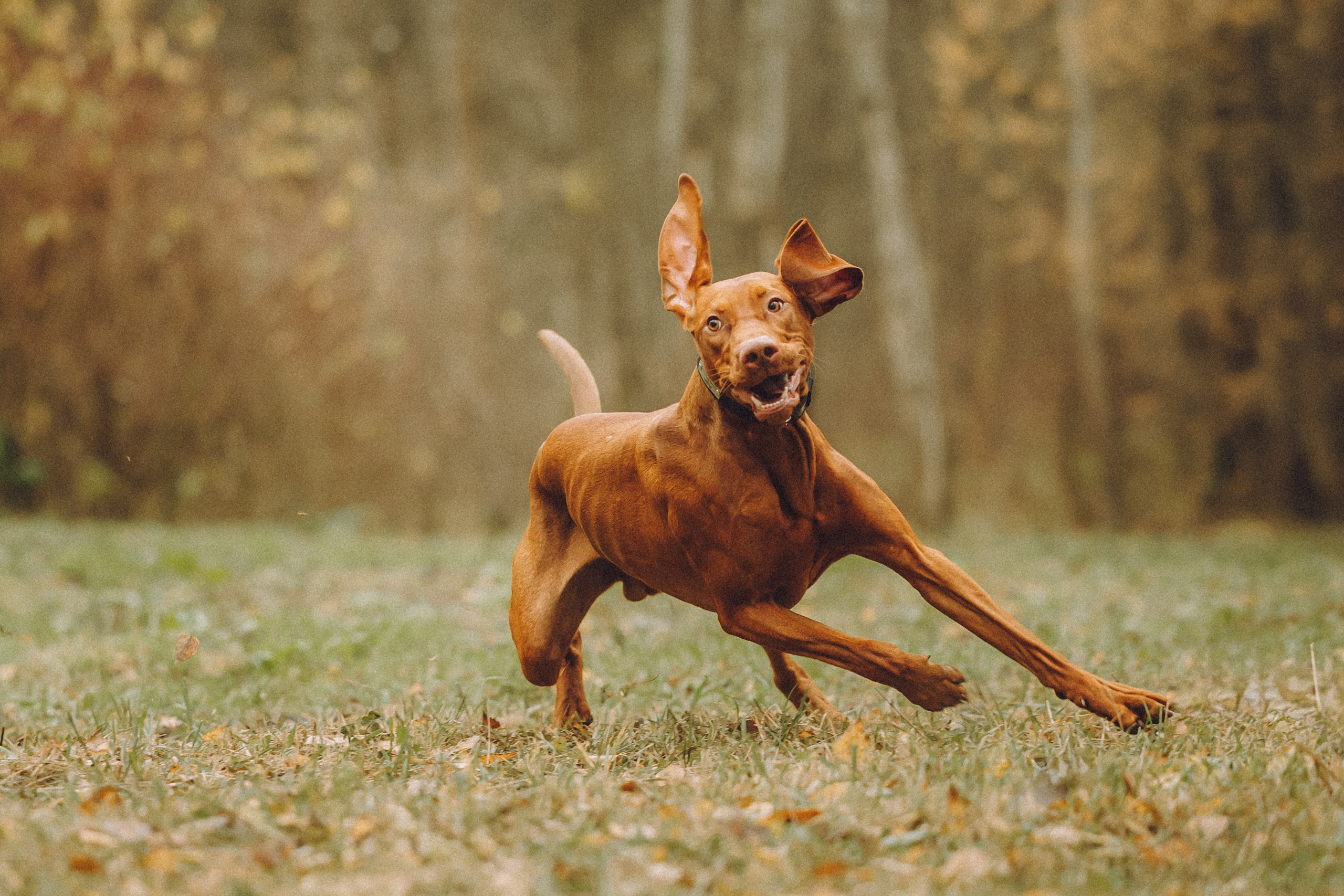 Дориан и его семья