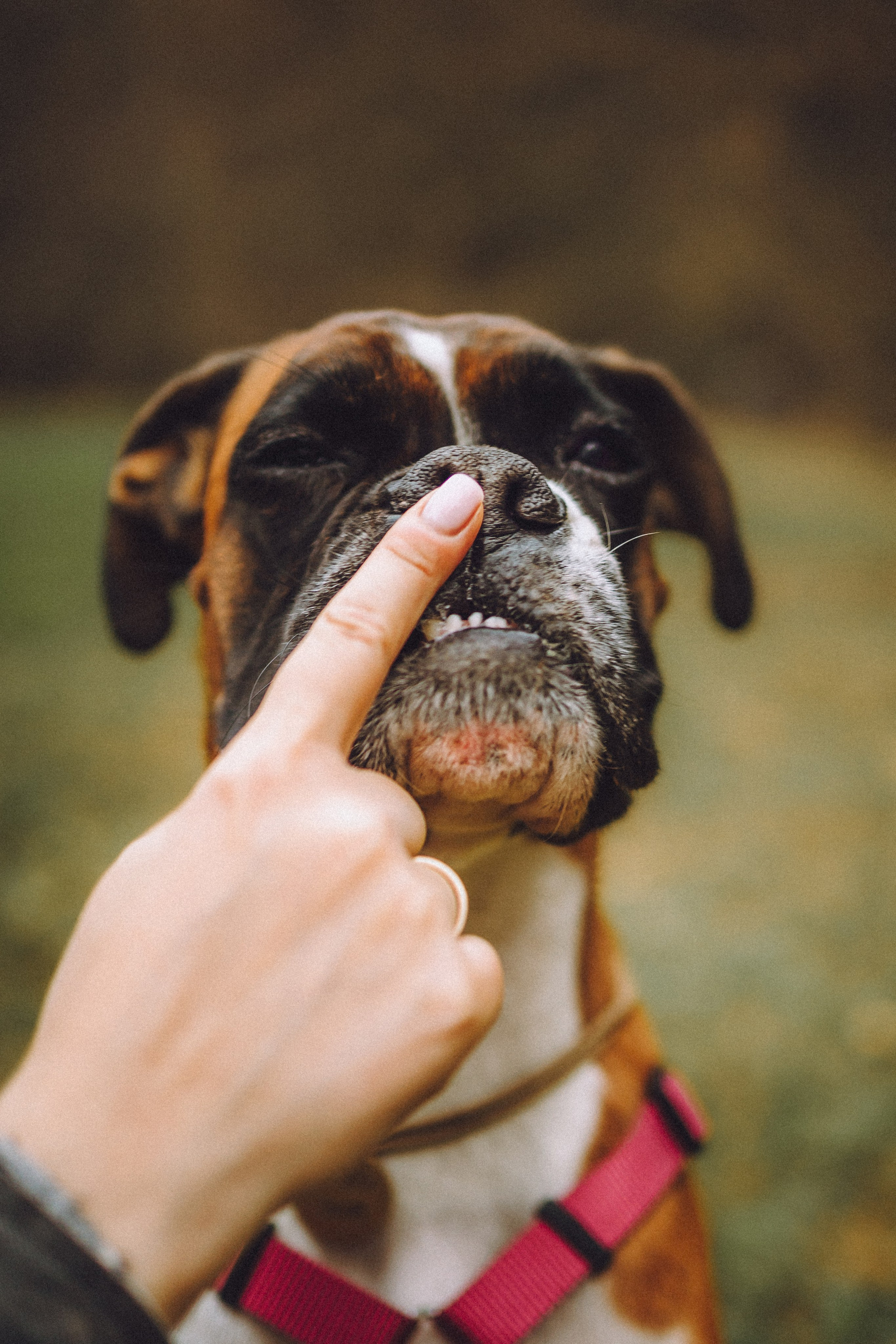 Элли и ее семья