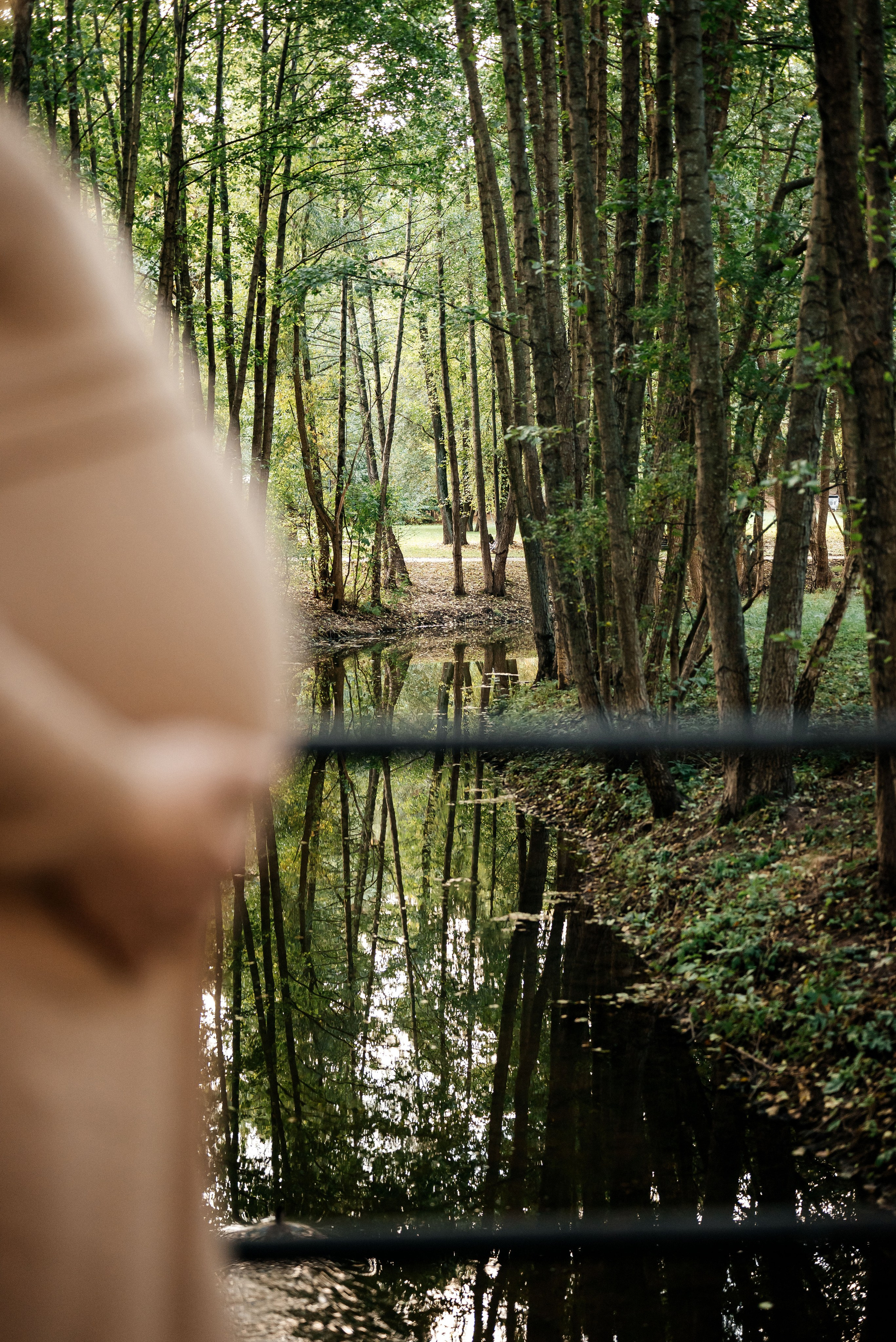 Красивая съёмка в парке Дрозды. Семейный фотограф в Минске Дарья Дреко