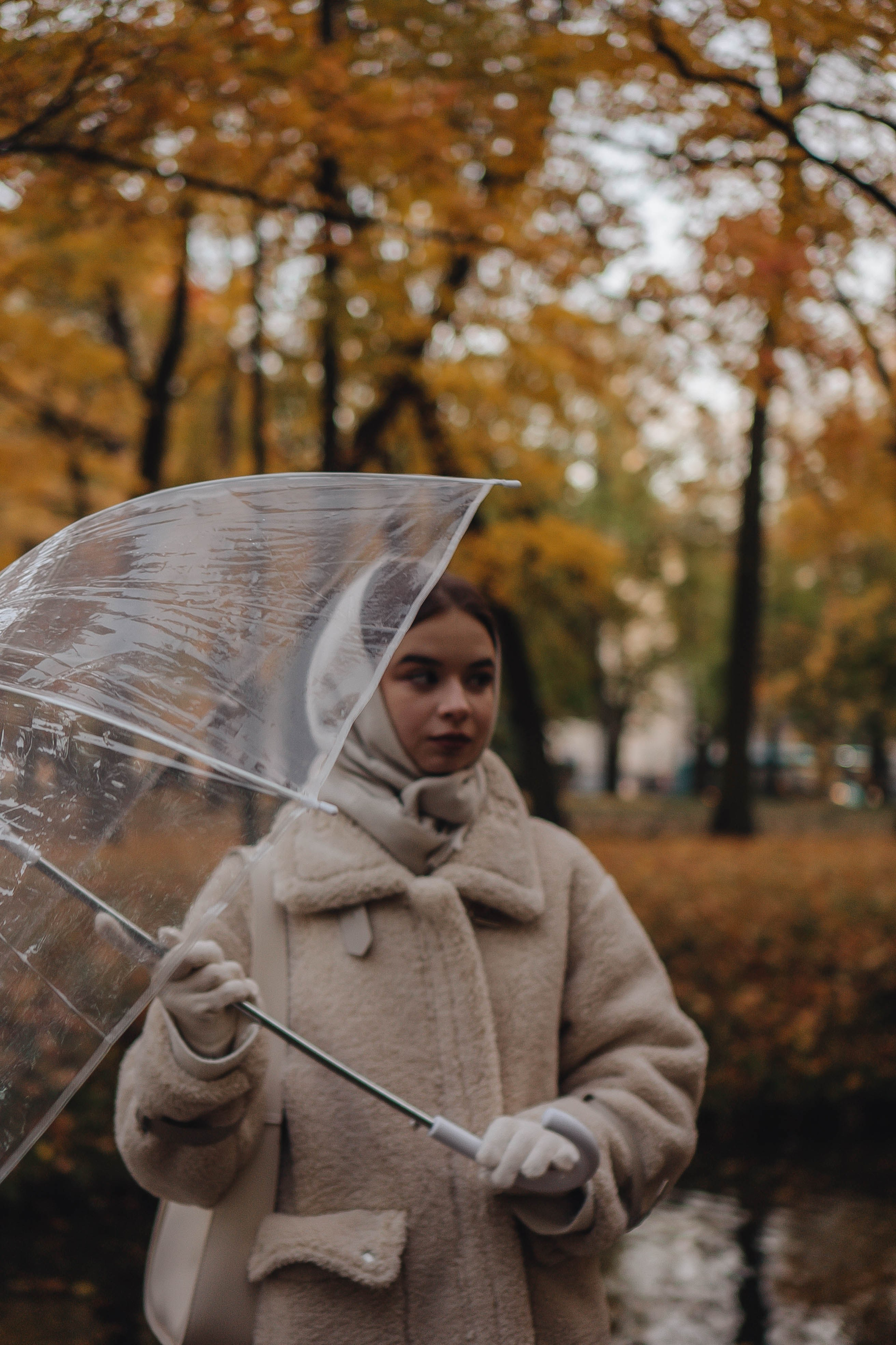 Осенняя. Профессиональный фотограф, Санкт-Петербург — Виктория Богомолова