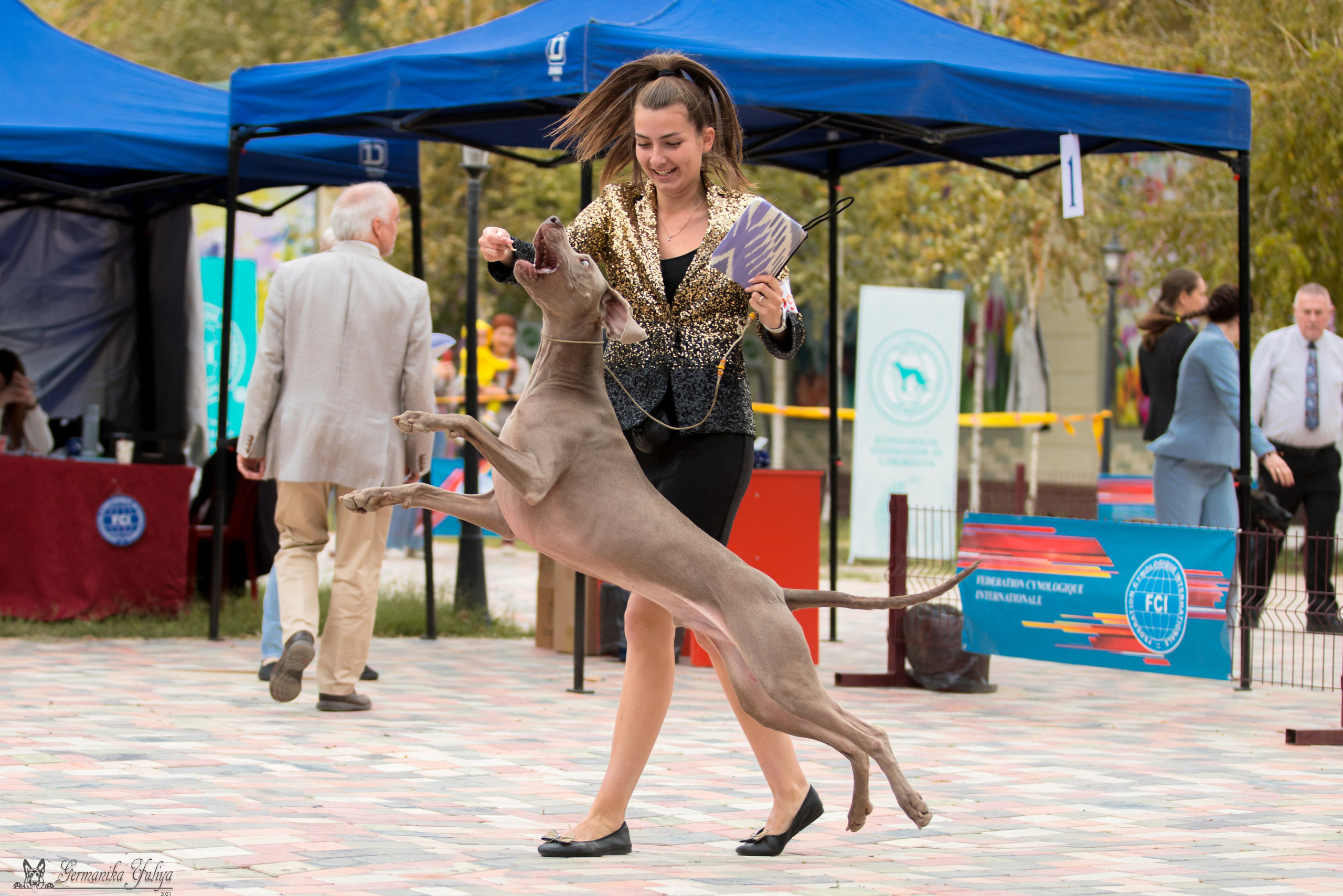 Ташкент 6-8.10.2023 + Алматы 14-15.10.2023. Фотограф-анималист Юлия Германика