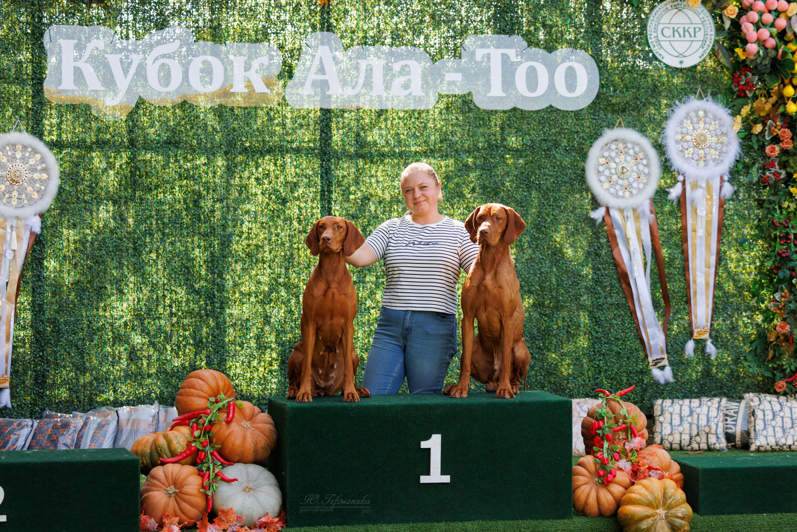 Бишкек 3х CACIB 26-28.09.2025. Фотограф-анималист Юлия Германика