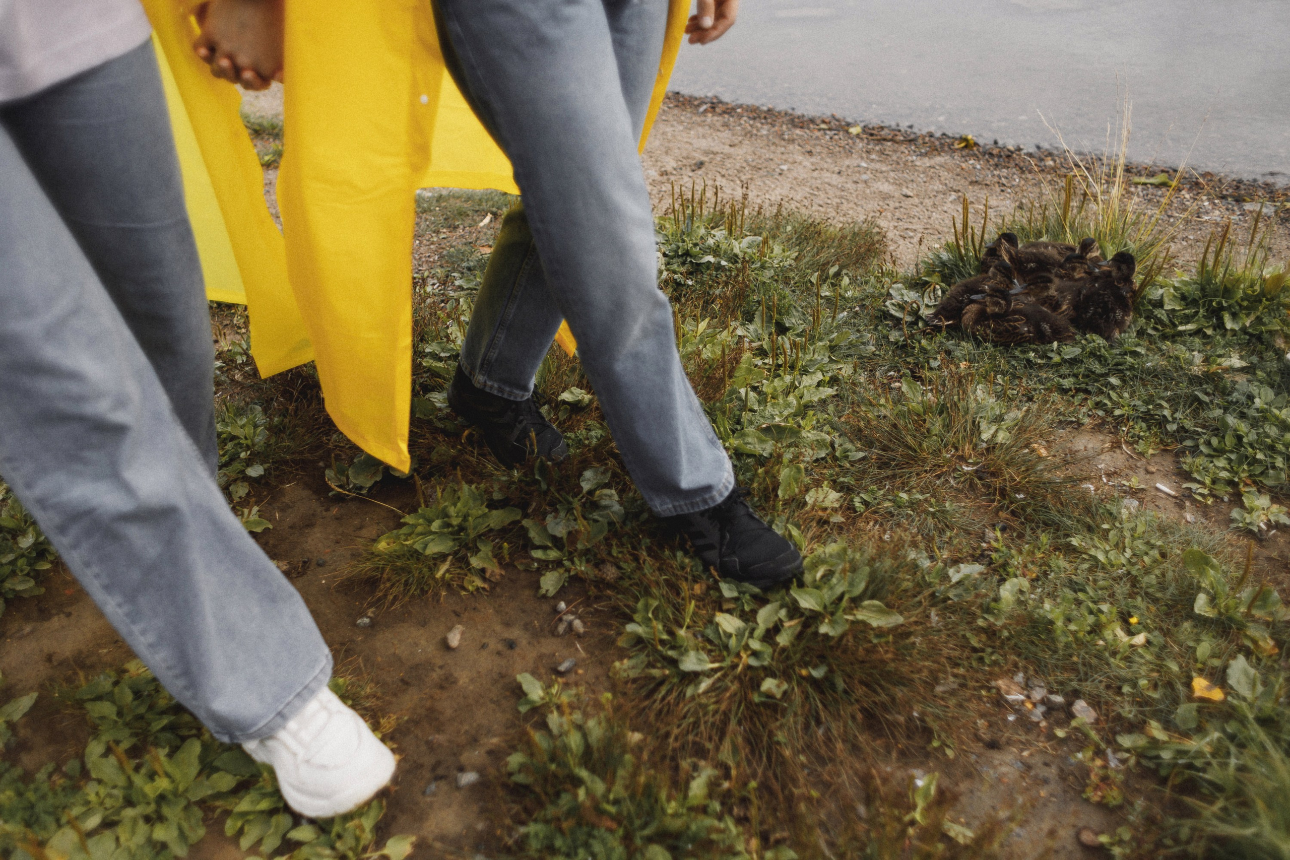 Мням-мням. Свадебный фотограф Дмитрий Воробьев Ярославль