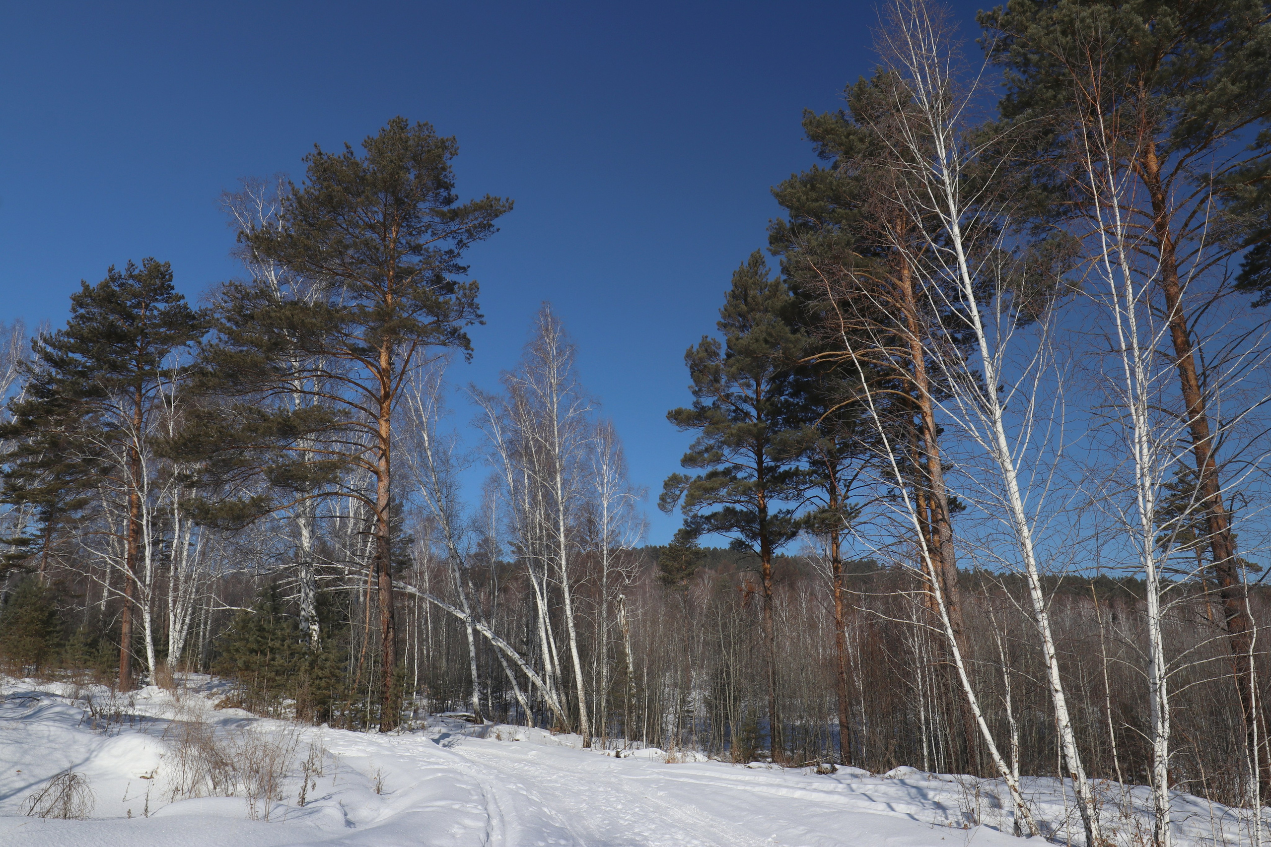 Аршан. Февраль 2025. Путешественник-фотограф из Санкт-Петербурга Татьяна Свистулина