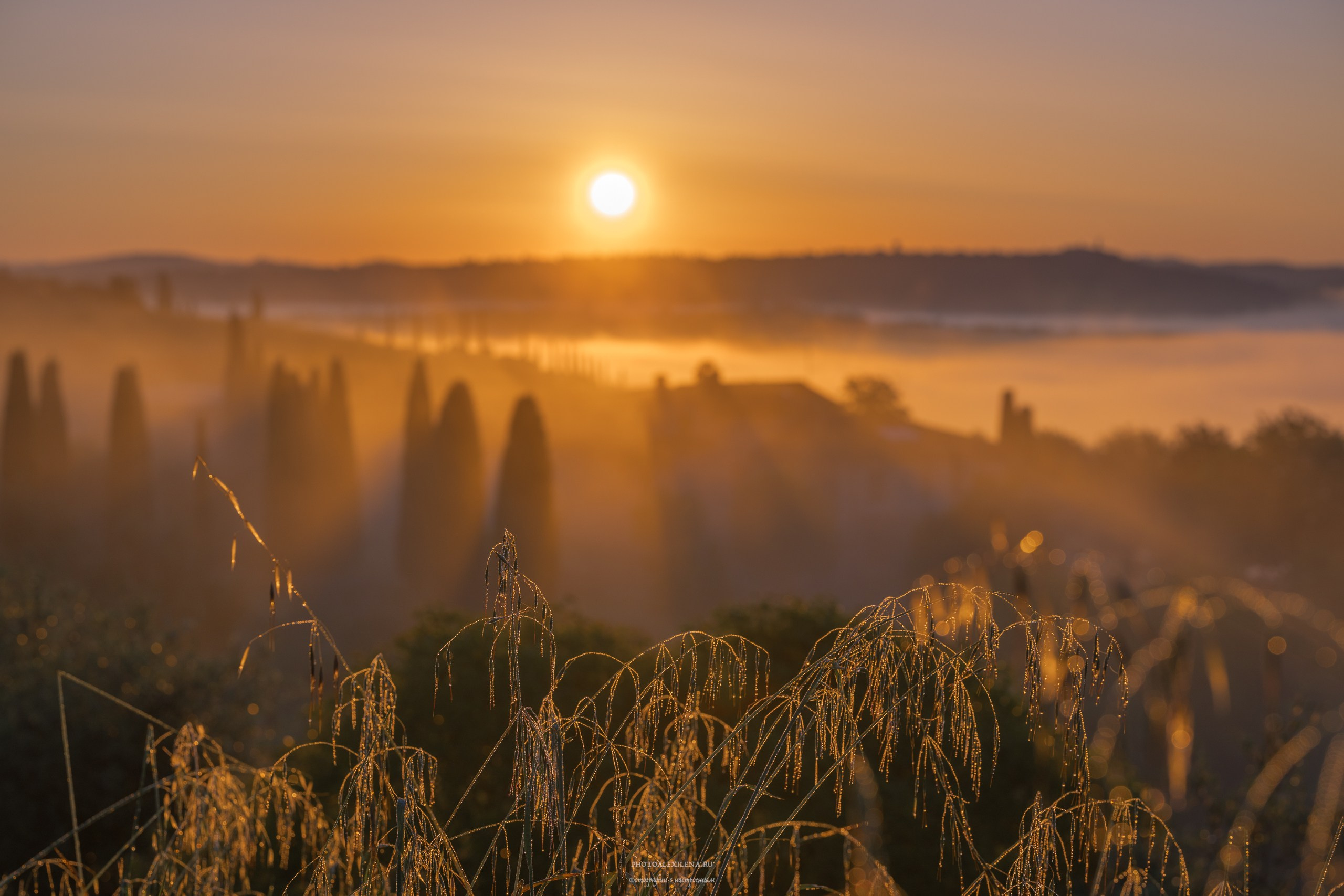 Великолепная Тоскана. Авторские стильные фотокартины