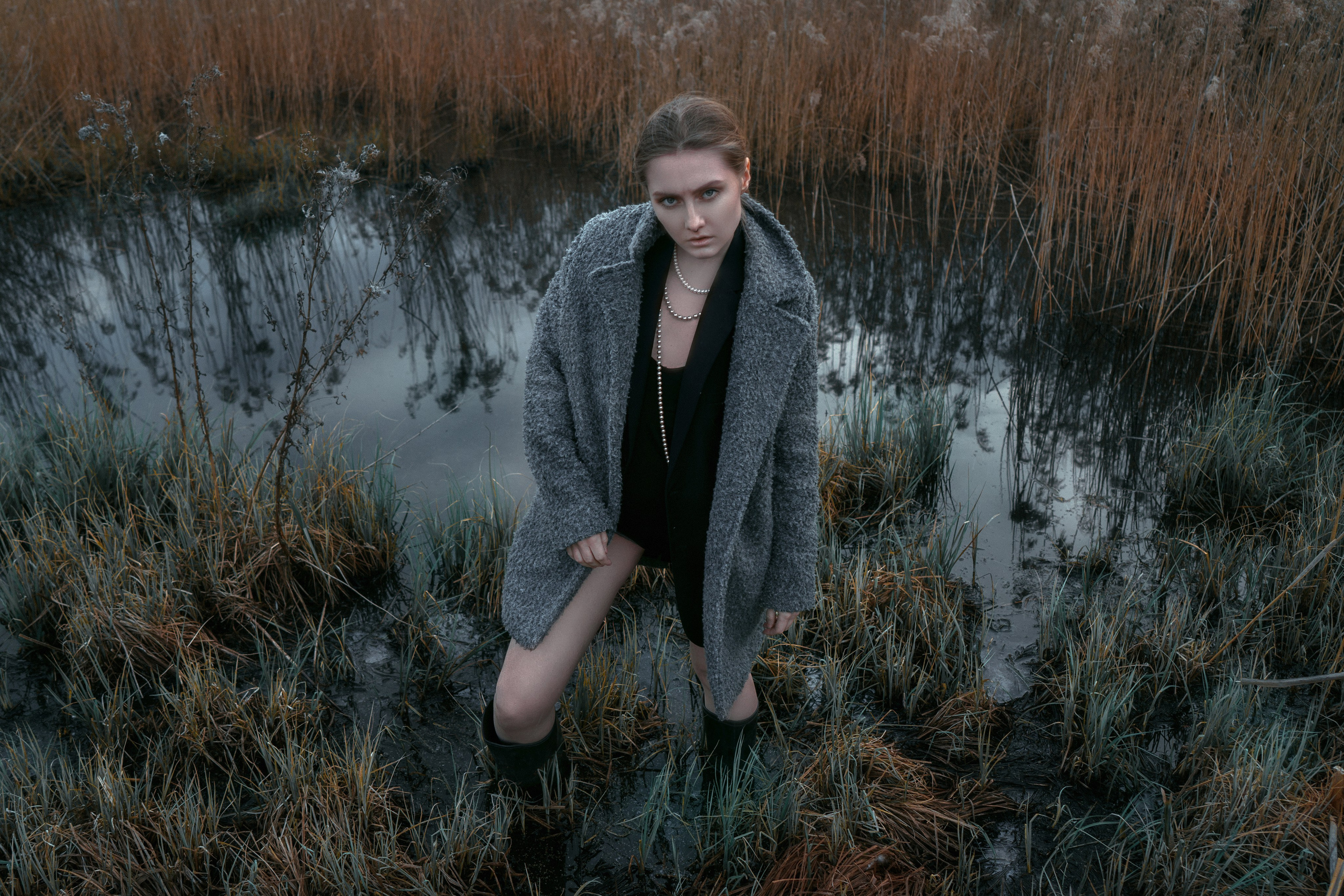 PHRAGMITES AUSTRALIS. Sergey,kuzichev