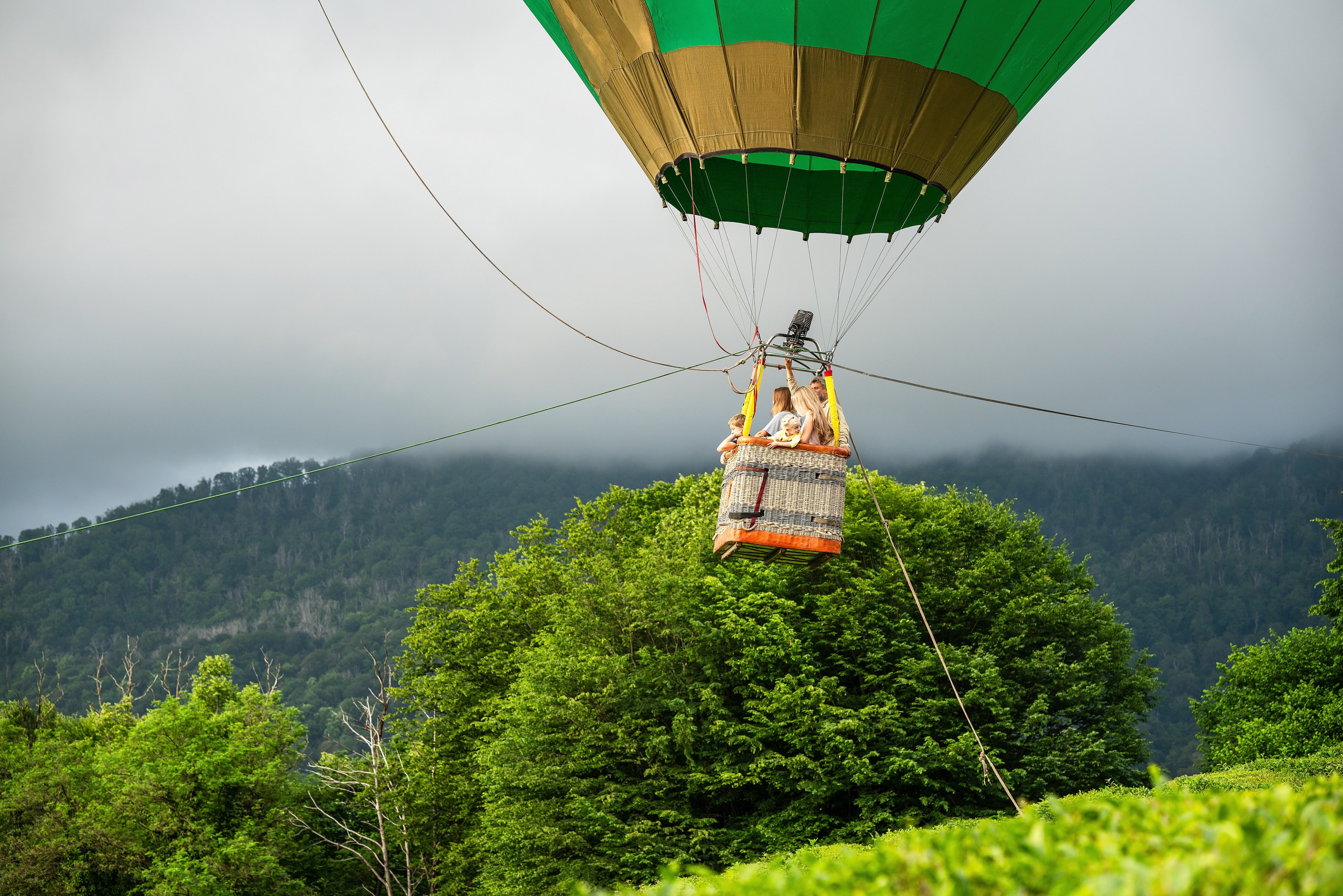 Фотограф на праздник Сочи. Фотограф Сочи