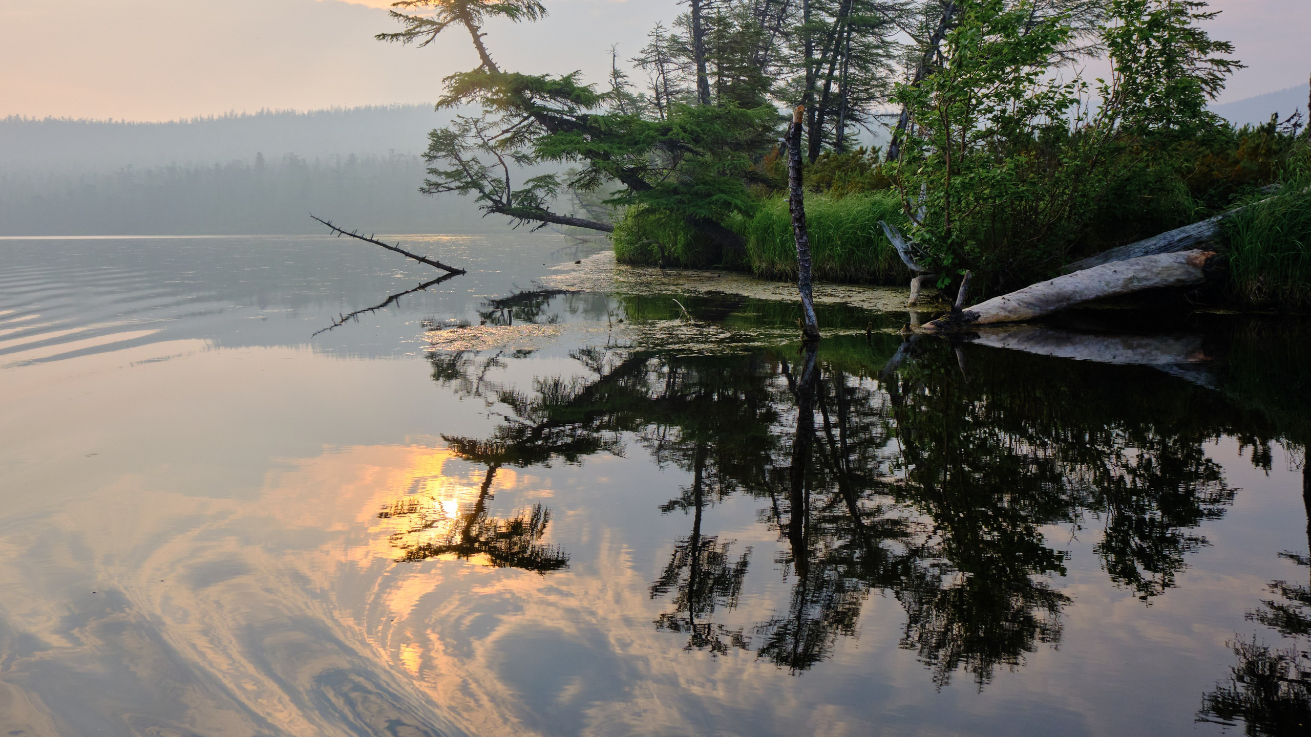 AQUATICS. Из Хабаровска до Шантарских островов. Юрий Березнюк. Фотожурналистика