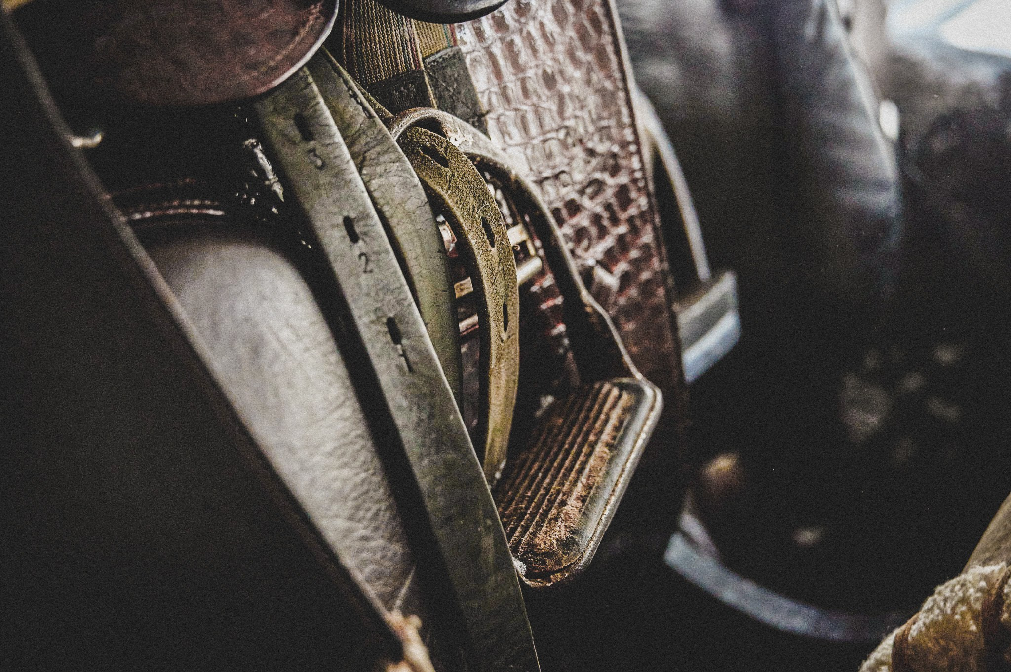 Конюшня. Репортажный фотограф в Санкт-Петербурге Диана Ларченкова