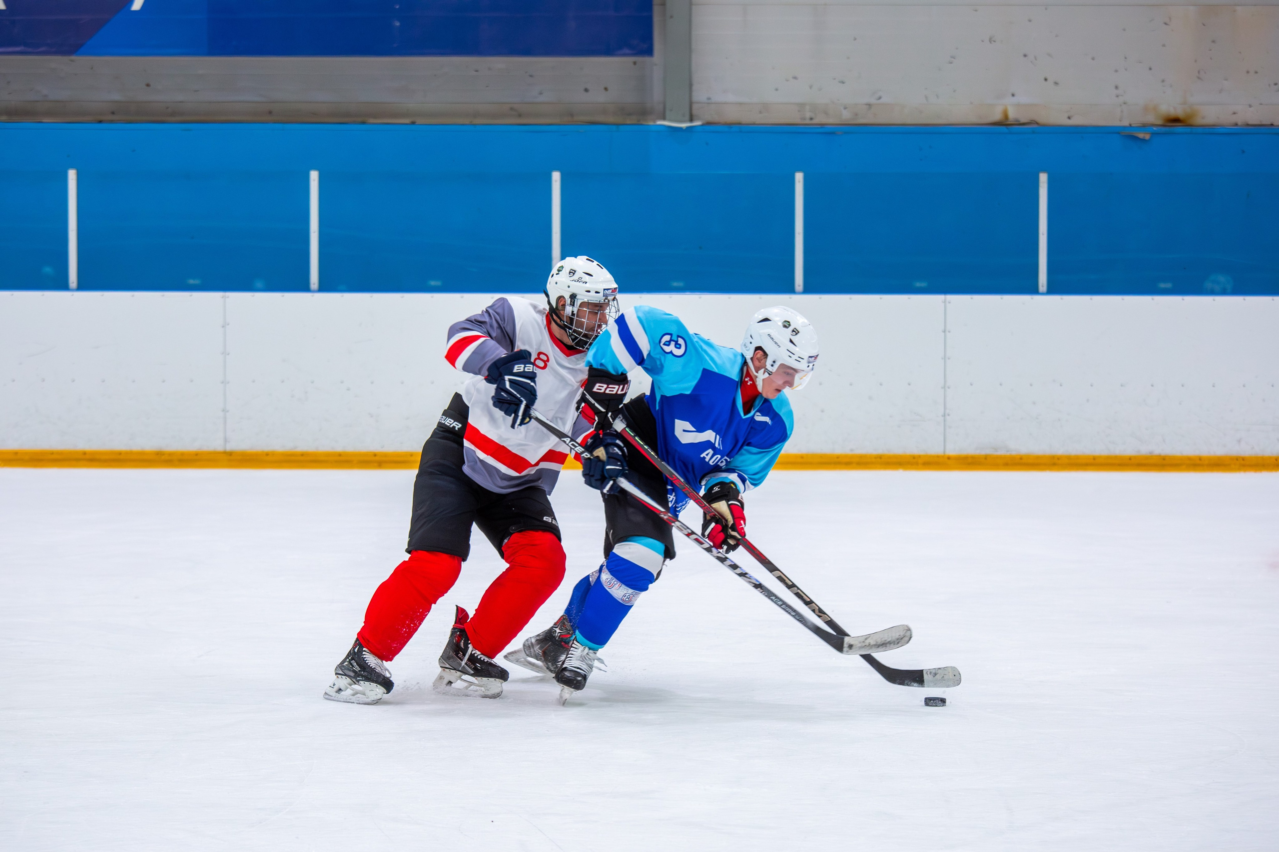 Чемпионат по хоккею. Репортажный, семейный, свадебный, портретный фотограф