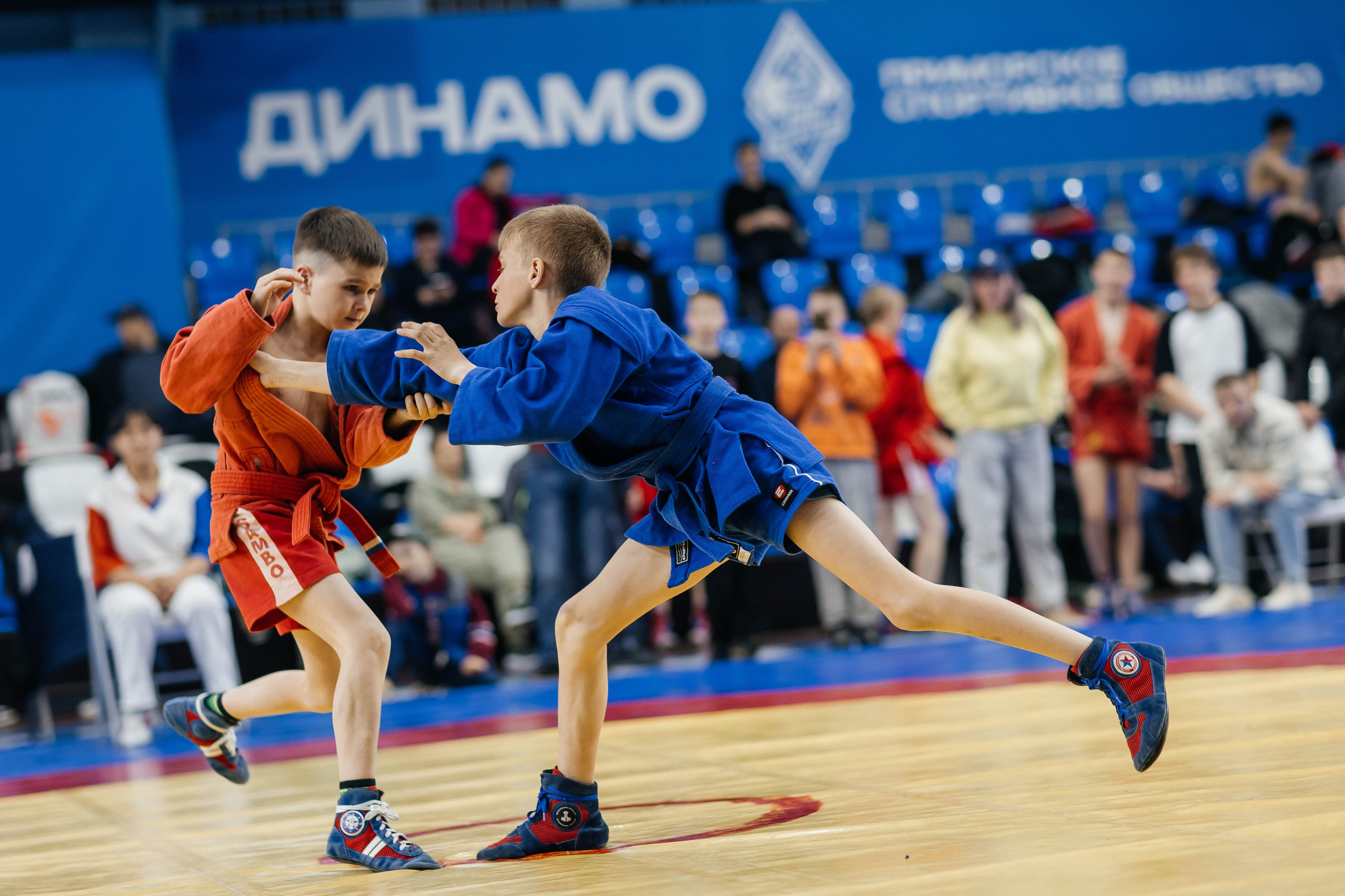 Sambo Championship. Maxim Tsoy Photography