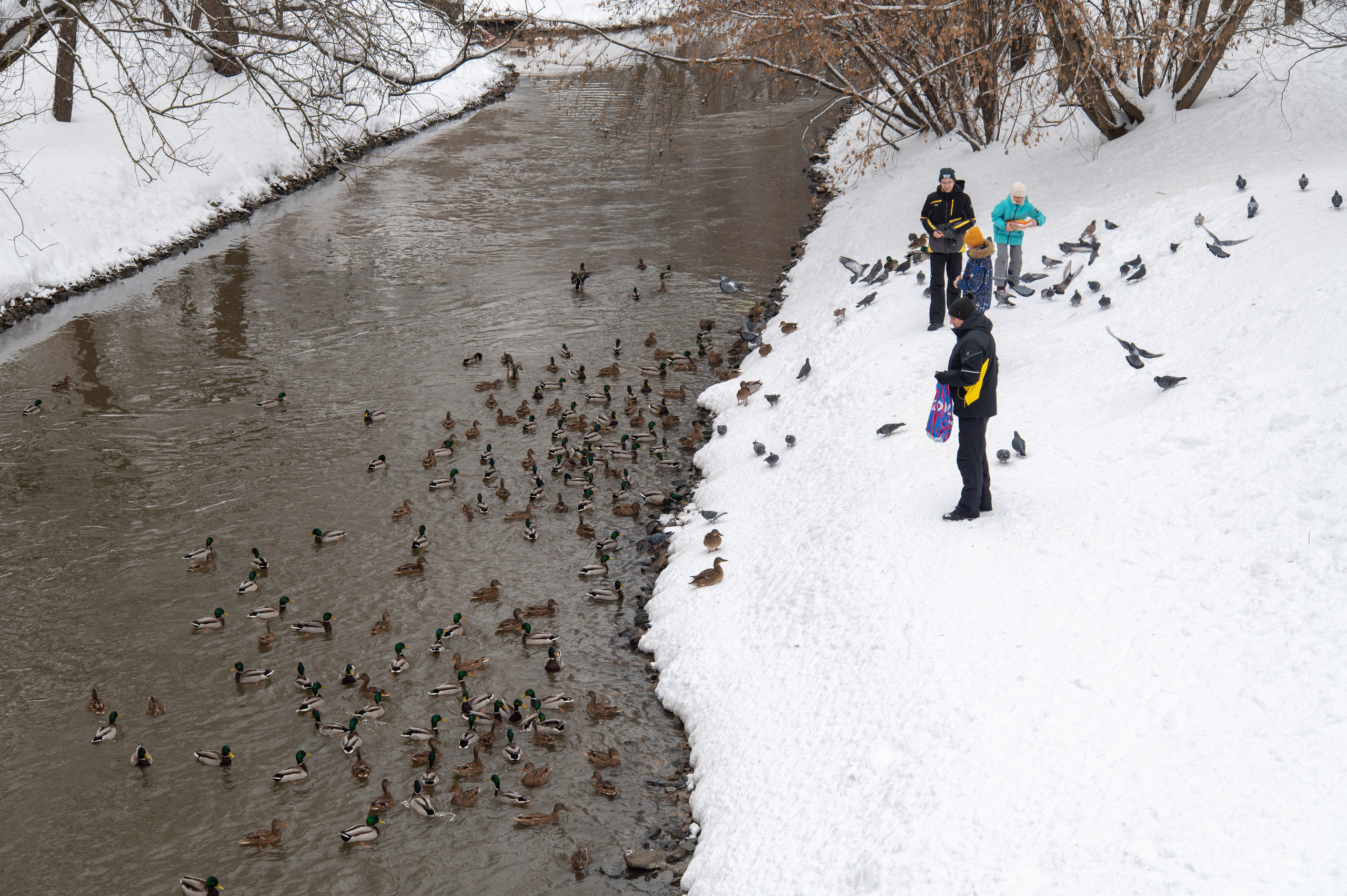 20240127 Ростокинский акведук. Дмитрий Ремизов. Фотография, как хобби