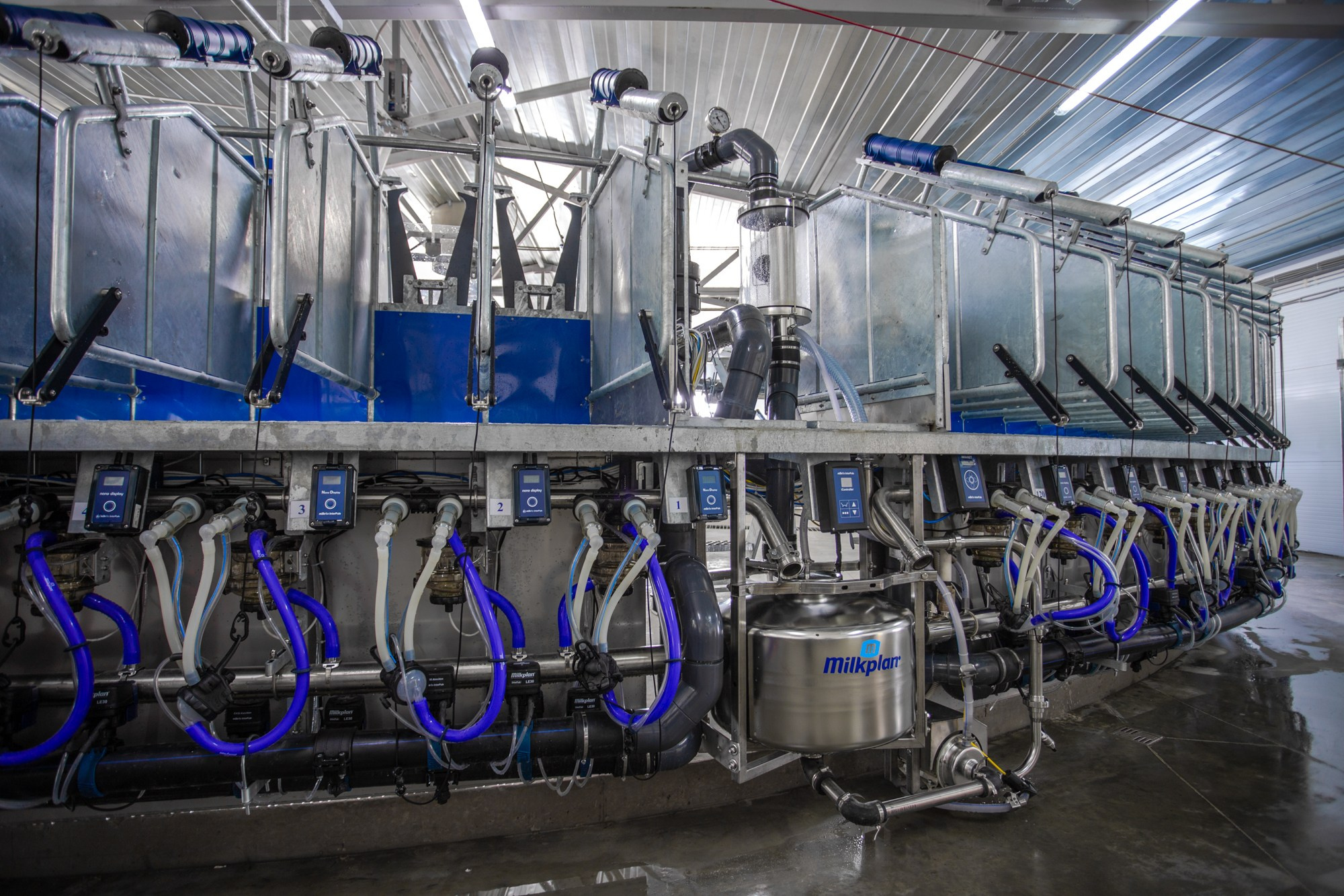 Открытие карусели для дойки скота. Репортажный, промышленный и маркетплейс-фотограф Дмитрий Чернат