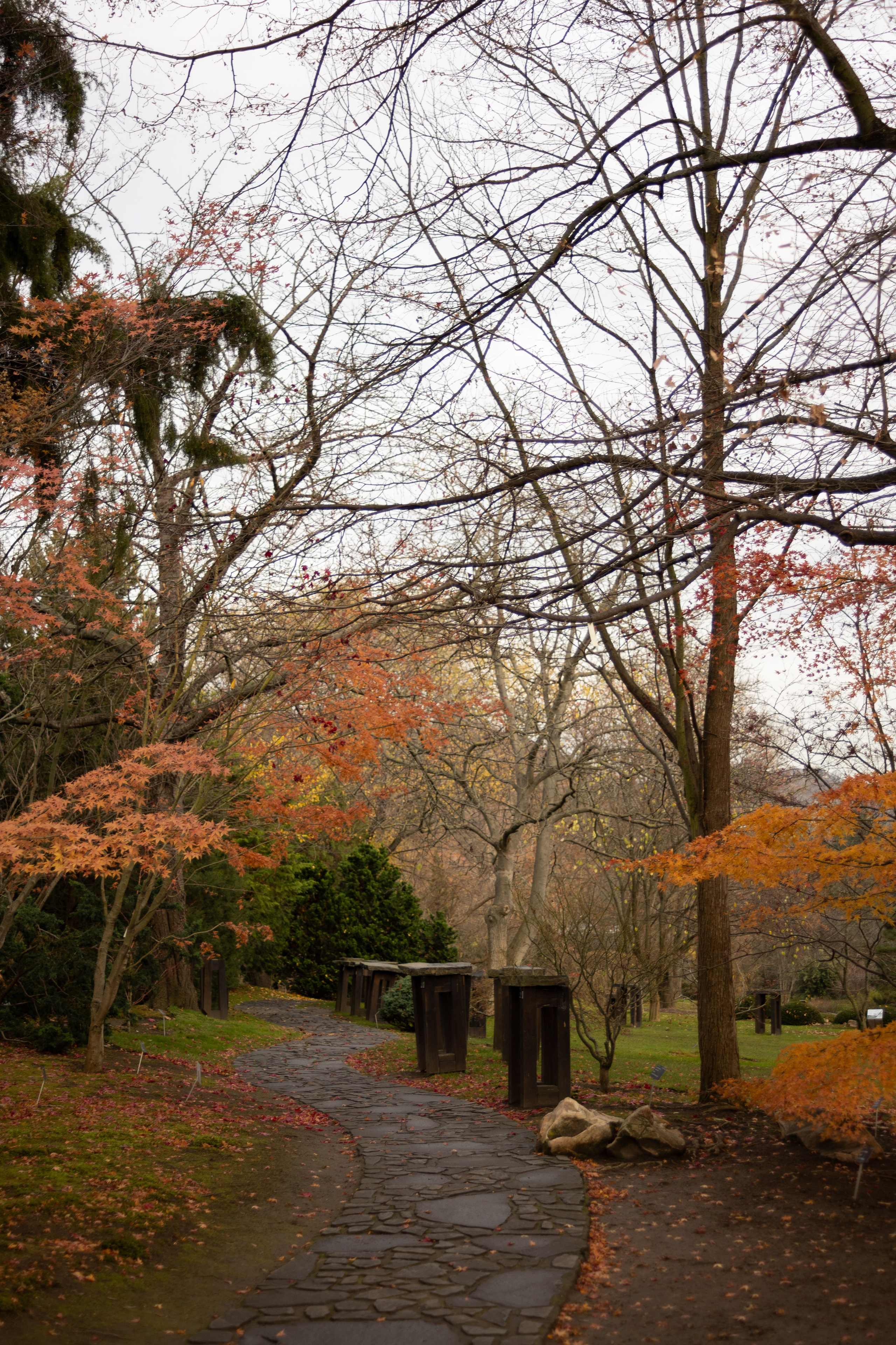 Tea exhibition, Prague. Magic photos