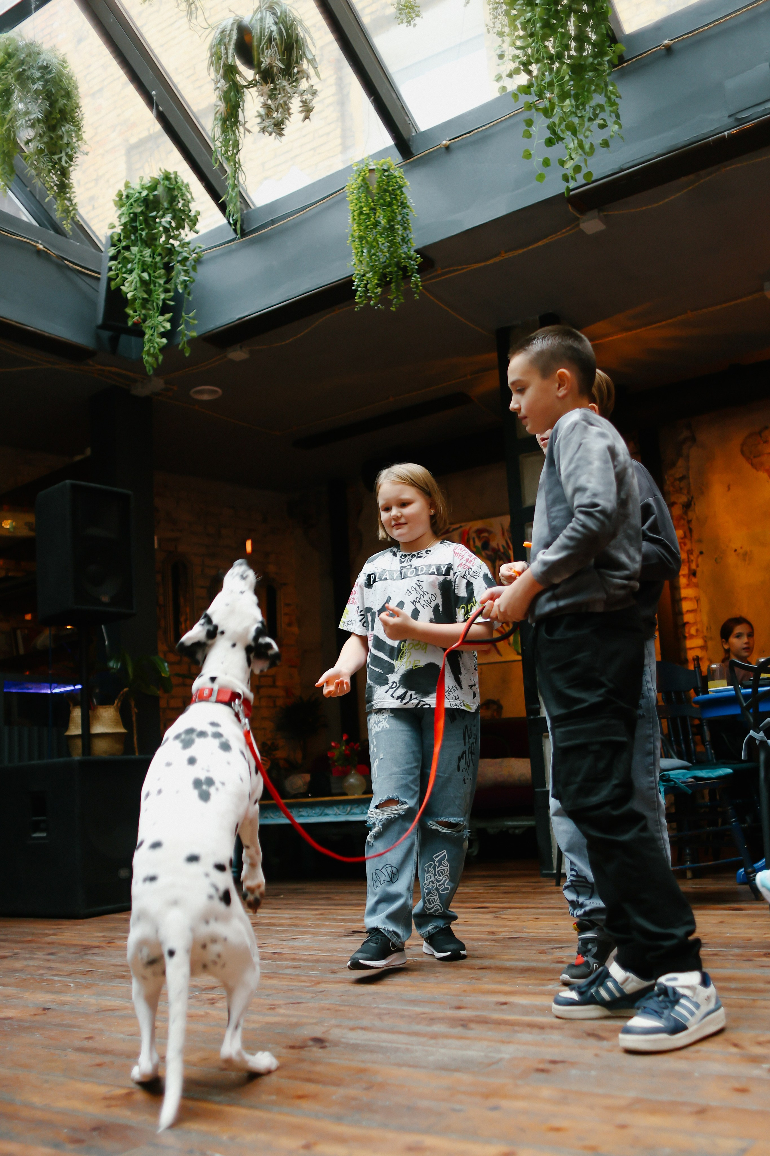 Crualle. Главная