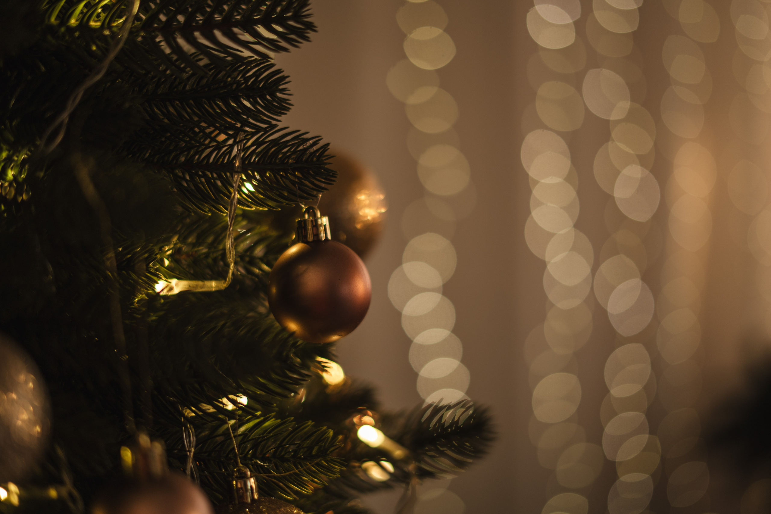 Фотостудия "Импульс" Саратов новогодняя фотосессия