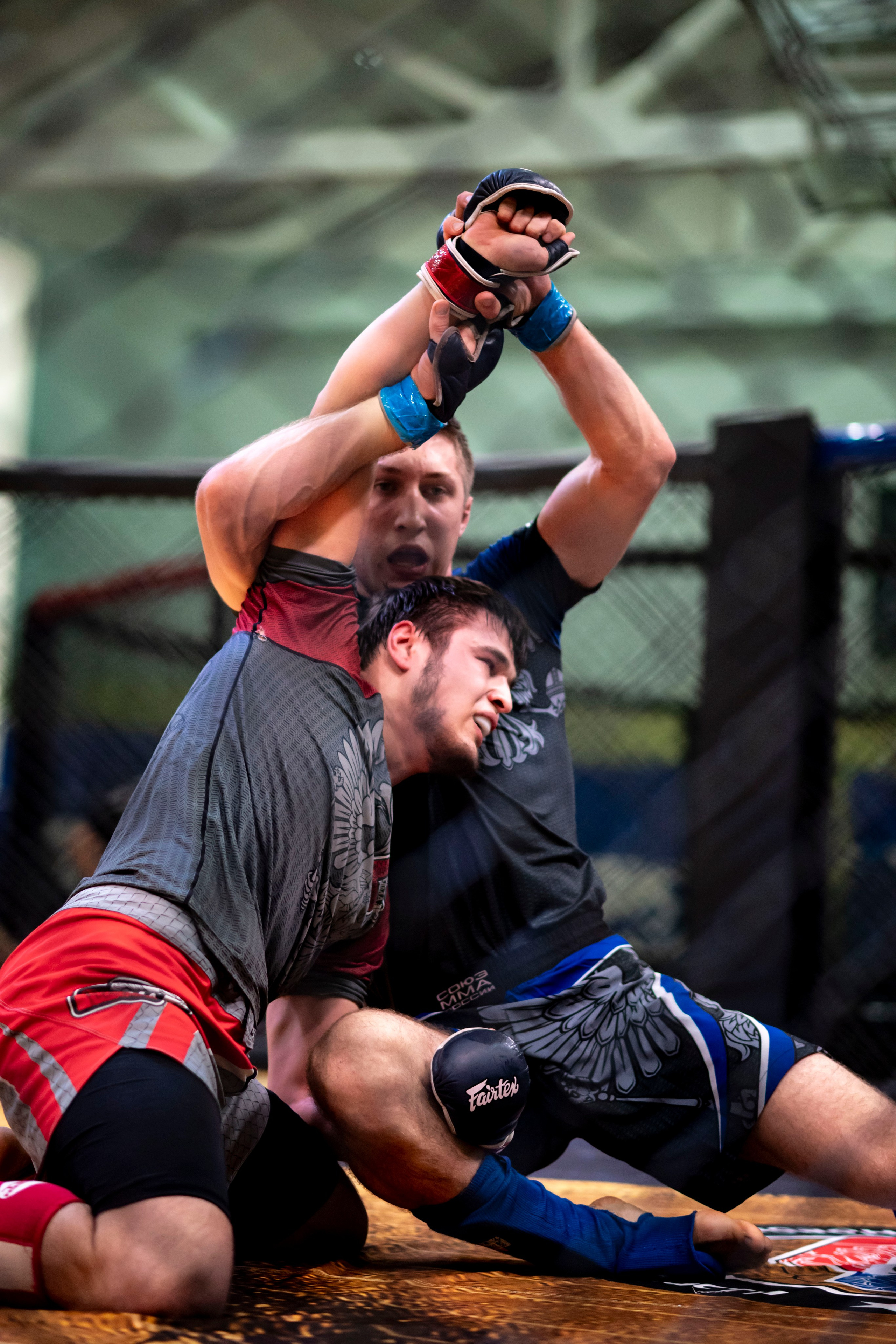 Всероссийский турнир ММА. Новомосковск, ноябрь 2025. Спортивный фотограф в Туле и Тульской области. Файсханова Фото Спорт