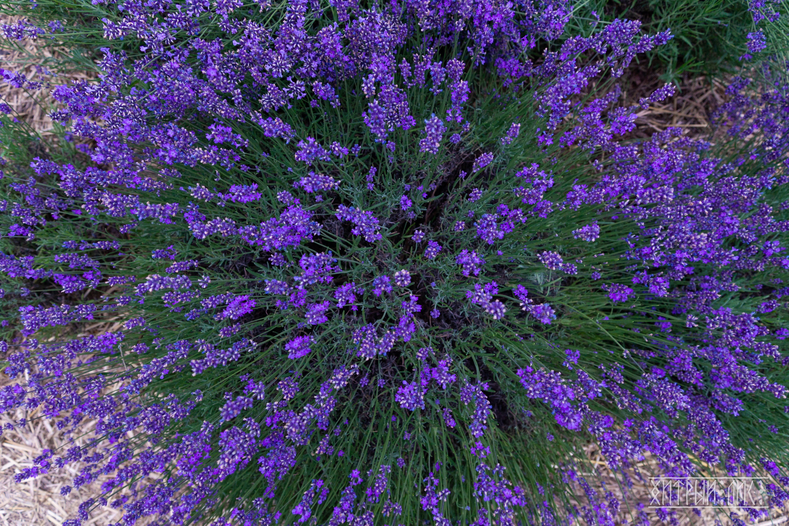 Беларусь. Фотограф-путешественник Самойлов Максим «Sly Fox»