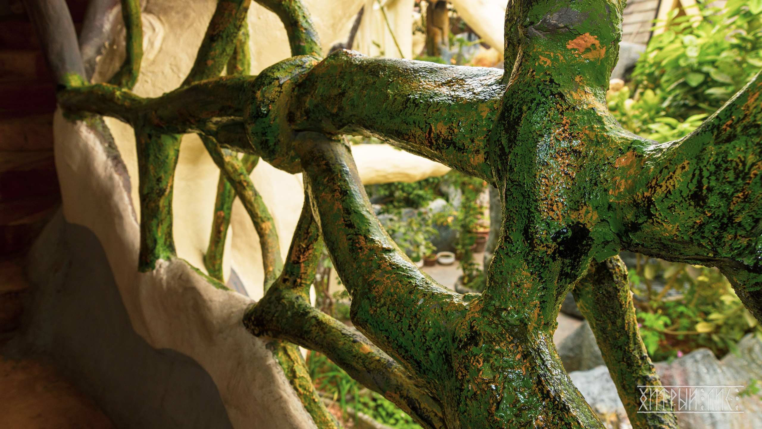 Вьетнам. Фотограф-путешественник Самойлов Максим «Sly Fox»