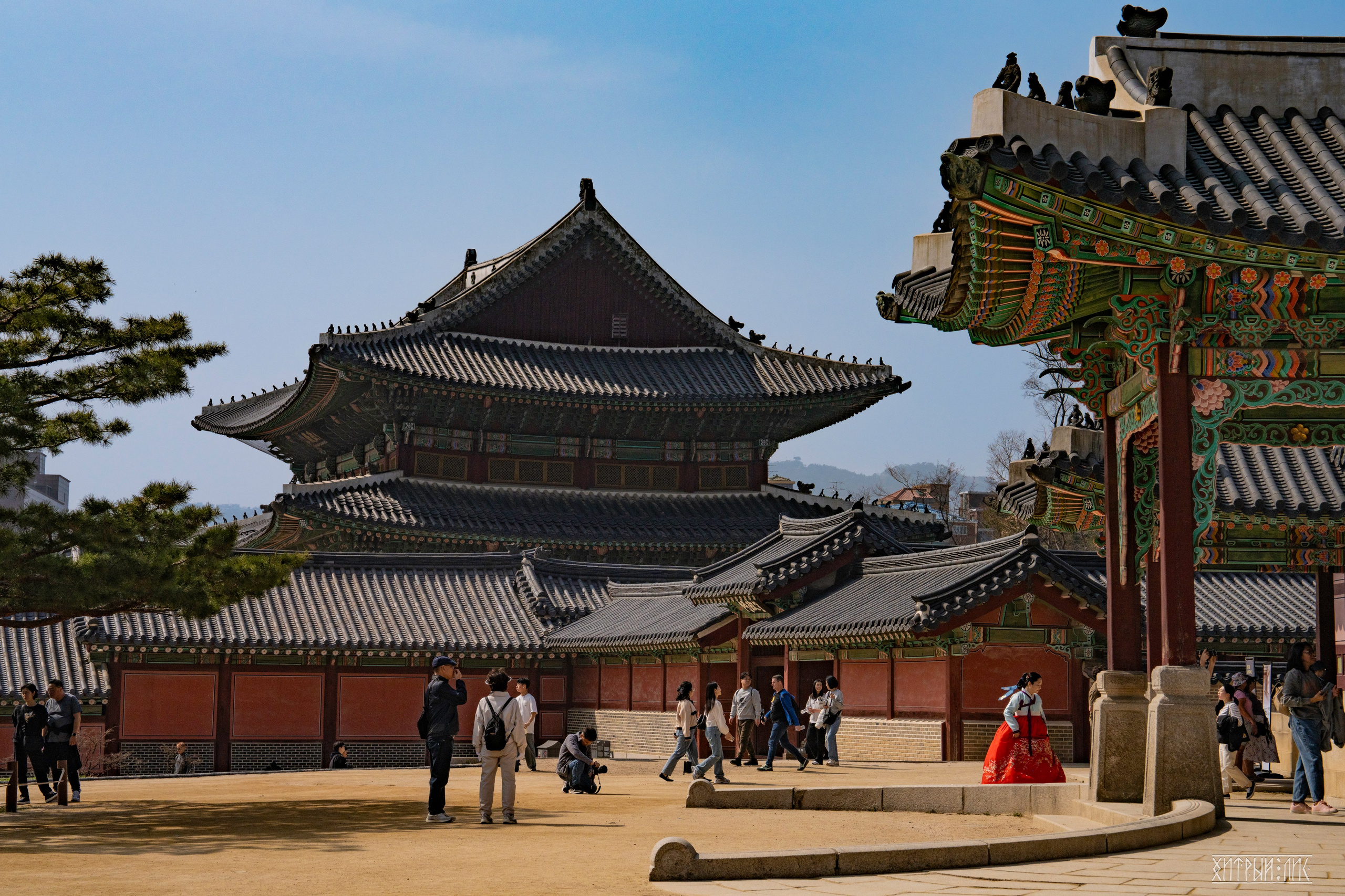 Южная Корея. Фотограф-путешественник Самойлов Максим «Sly Fox»