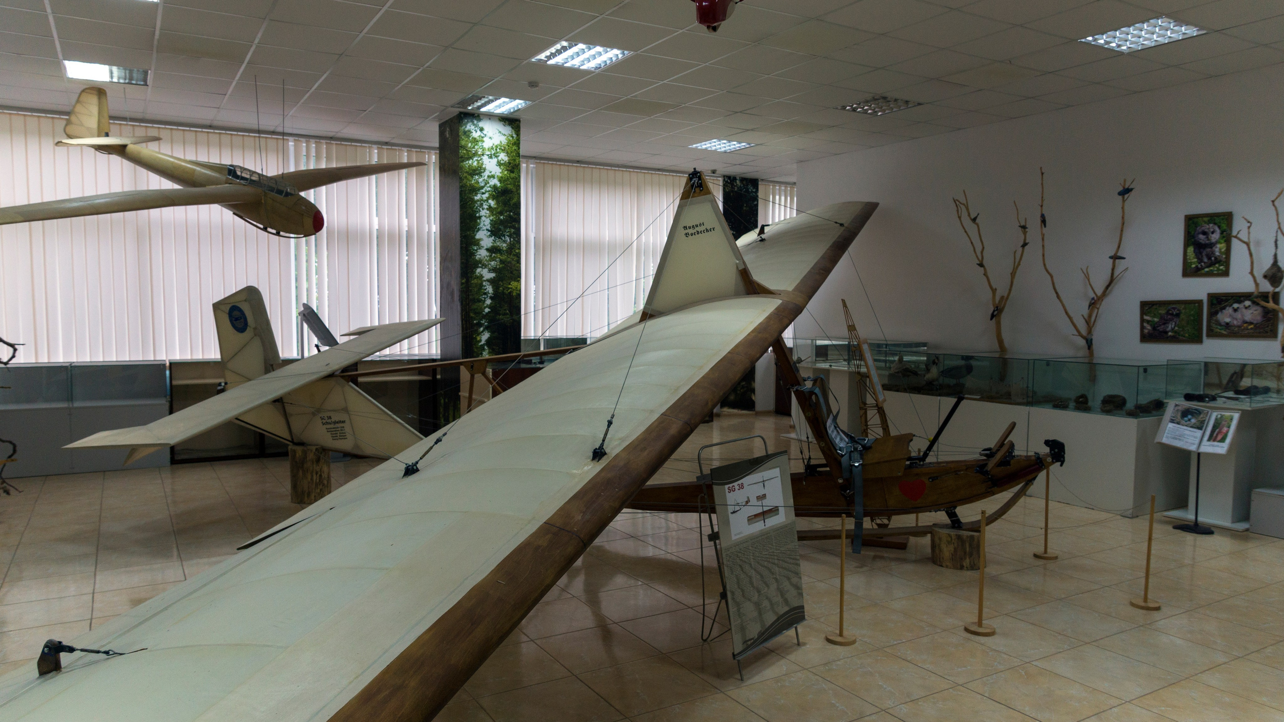 Куршская коса. Фотограф-путешественник Самойлов Максим «Sly Fox»