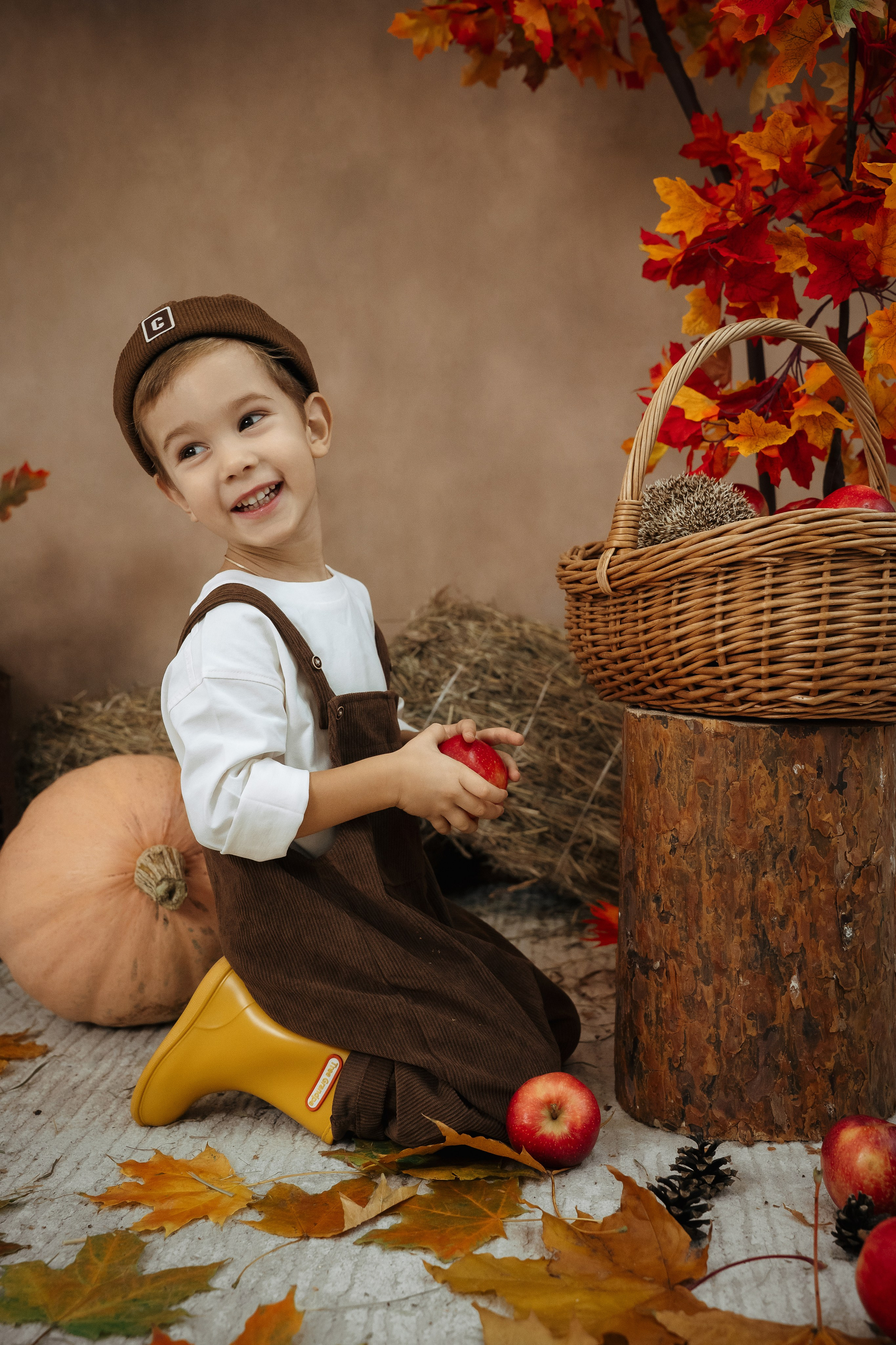 Ёжик. Фотограф Казакова Анастасия