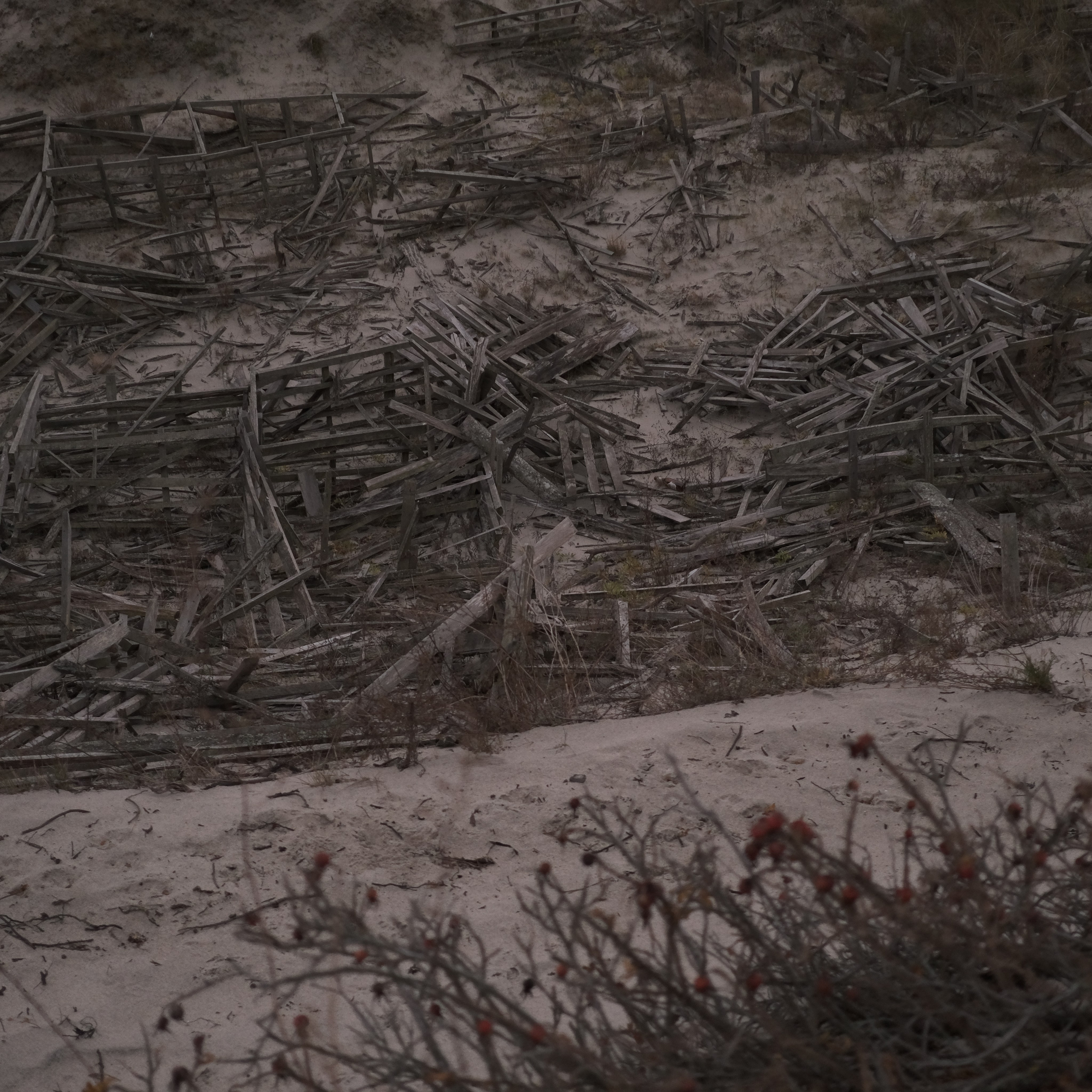 Калининград. LIYALEE PHOTO