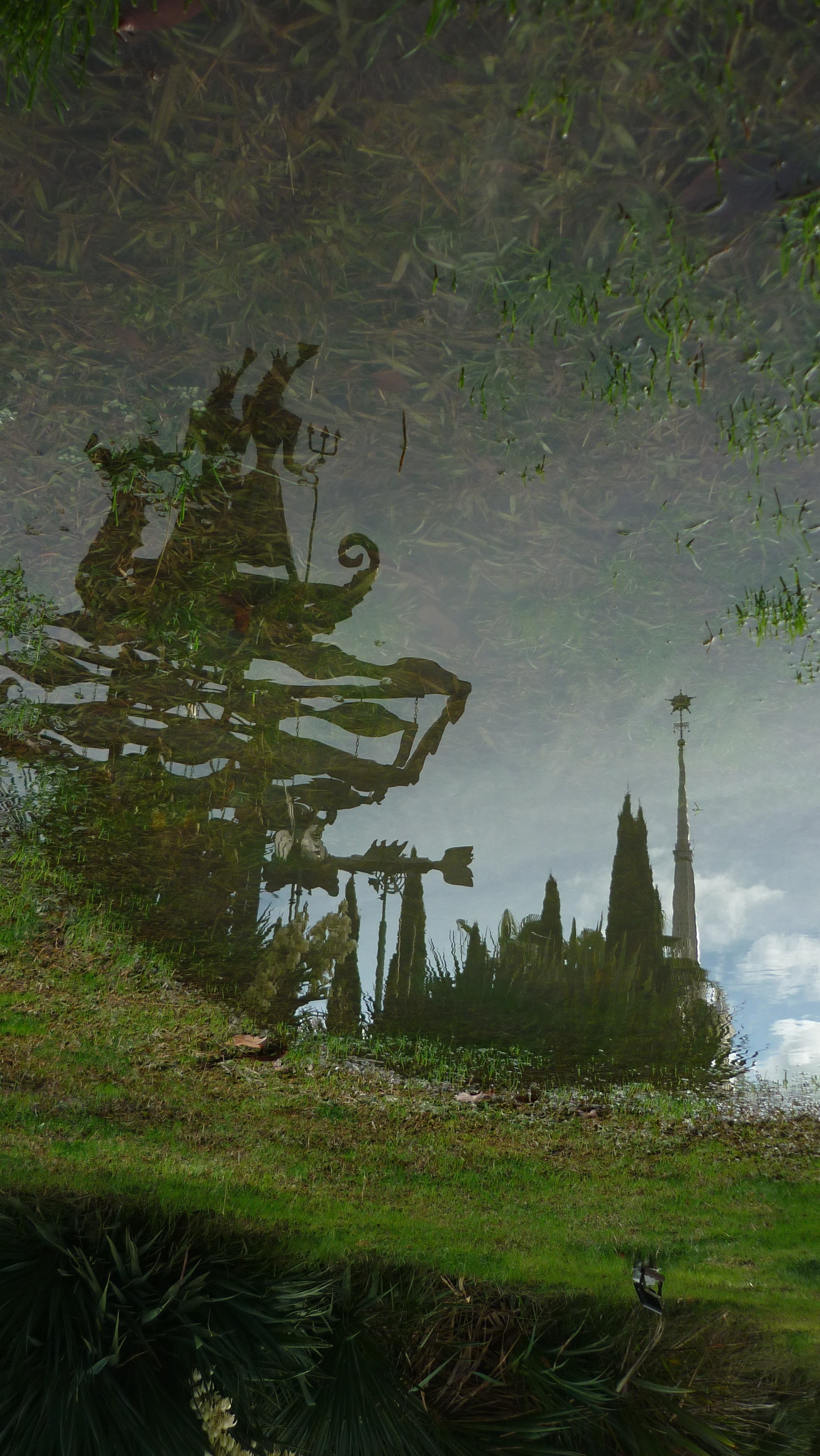 Фотографии Сочи, глазами гида-фотографа. Фотограф в Сочи Елена Лисотина. Фототуры в Сочи