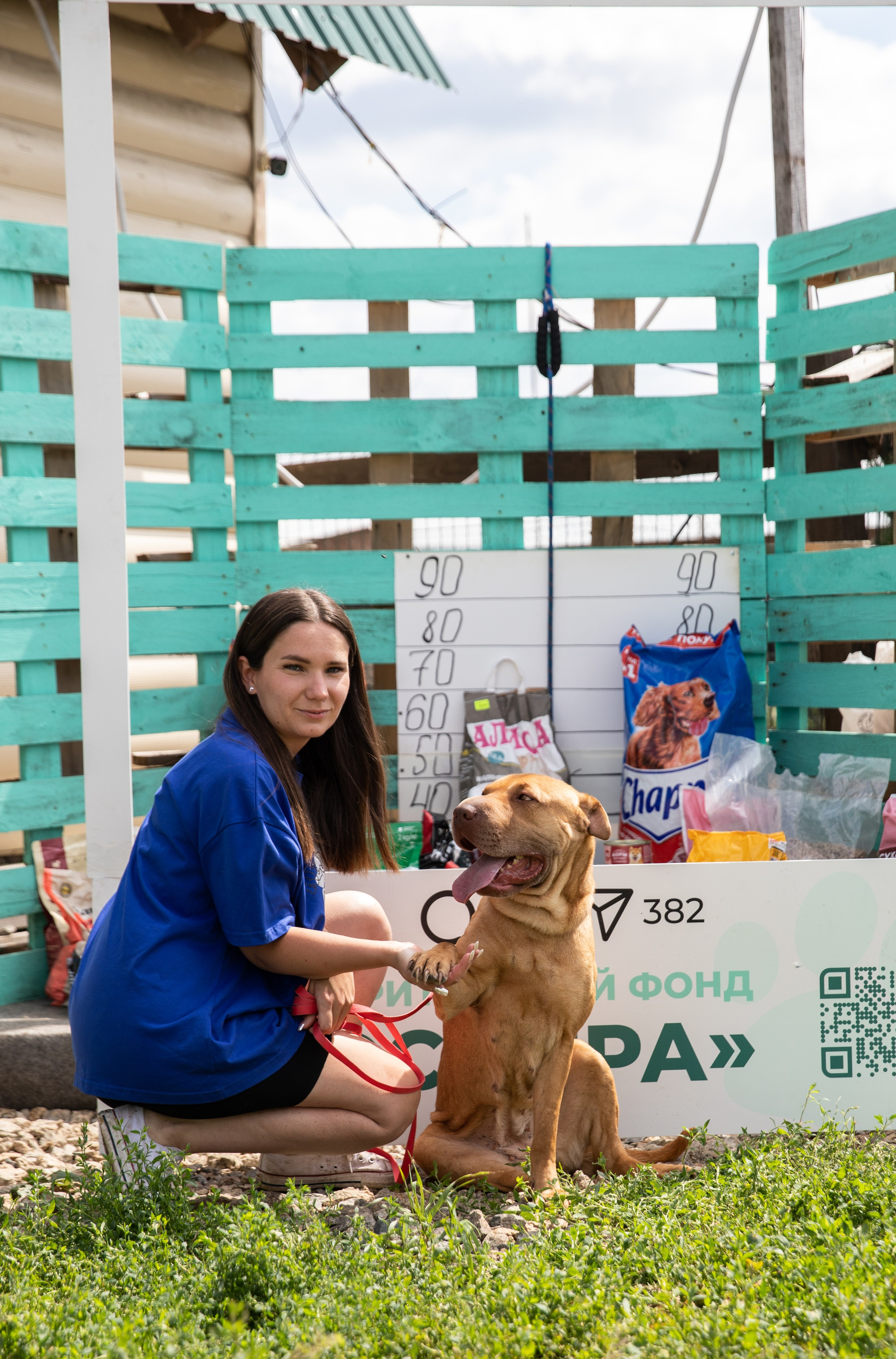 Приют — Наш дом. Репортажный и свадебный фотограф в Челябинске Елисеев Павел