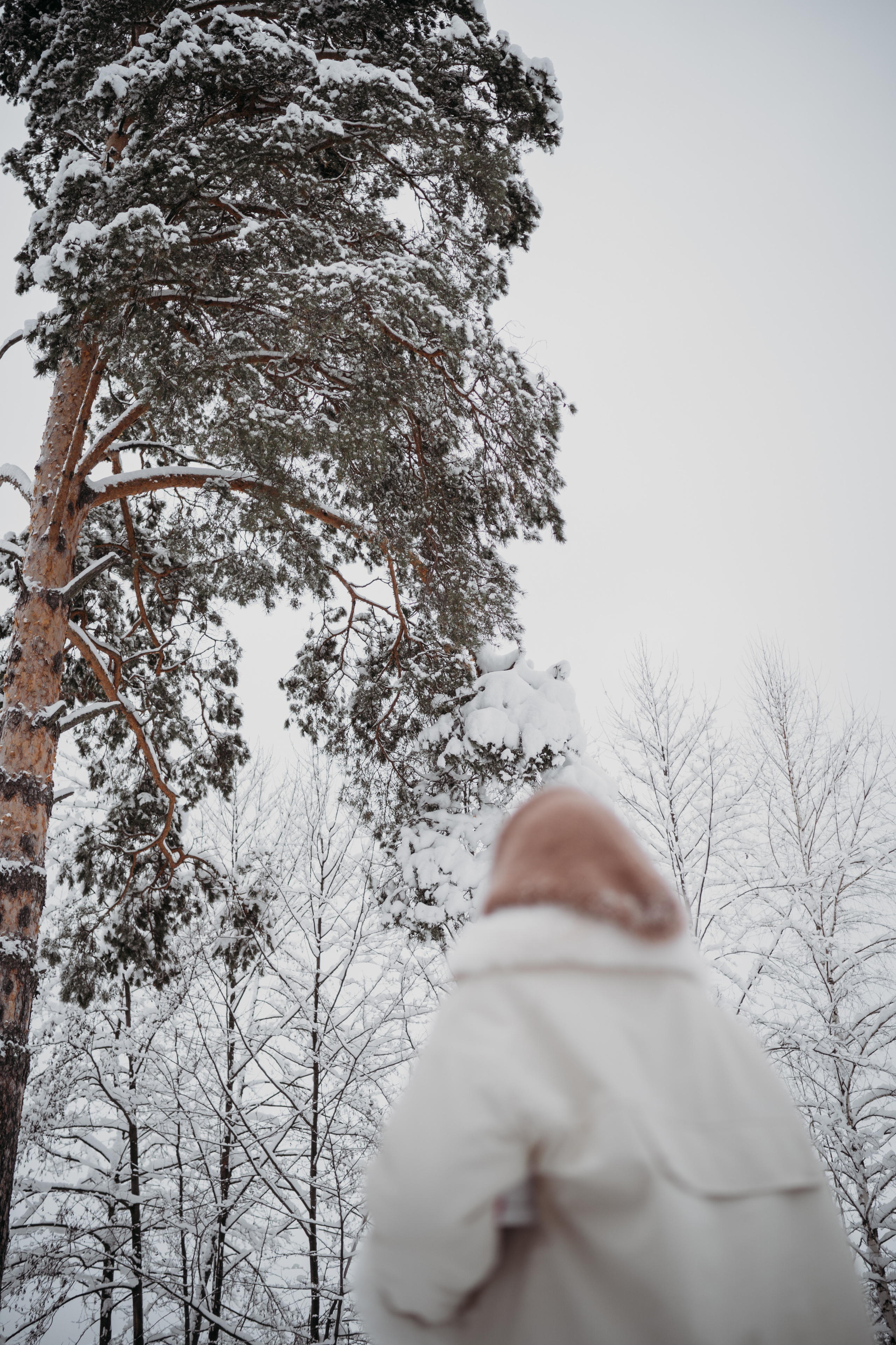 Декабрь снежный. Искренний фотограф
