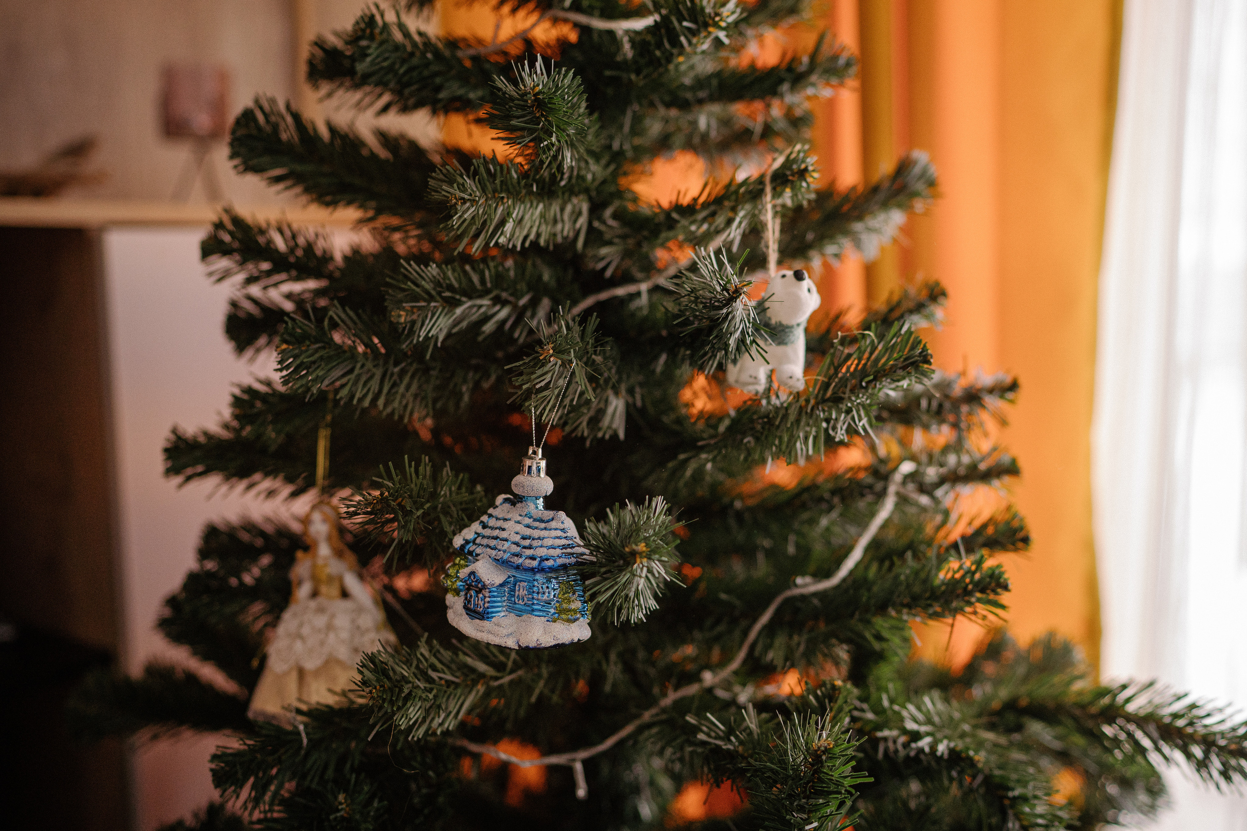 Домашняя новогодняя история. Искренний фотограф